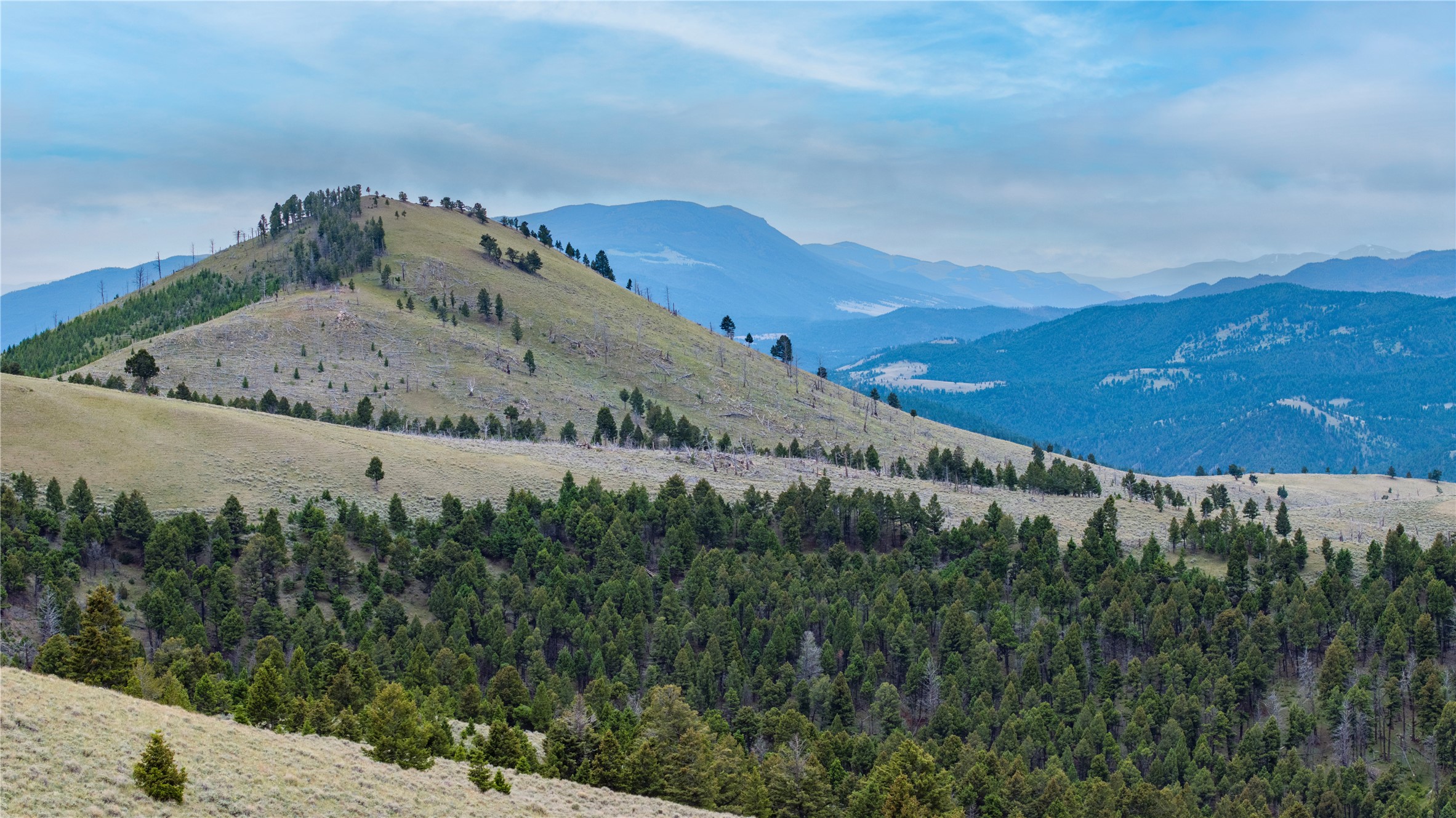 Bald Hill Lode Property Photo 11