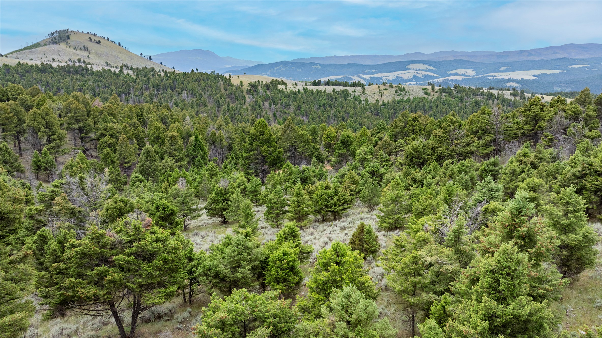 Bald Hill Lode Property Photo 13