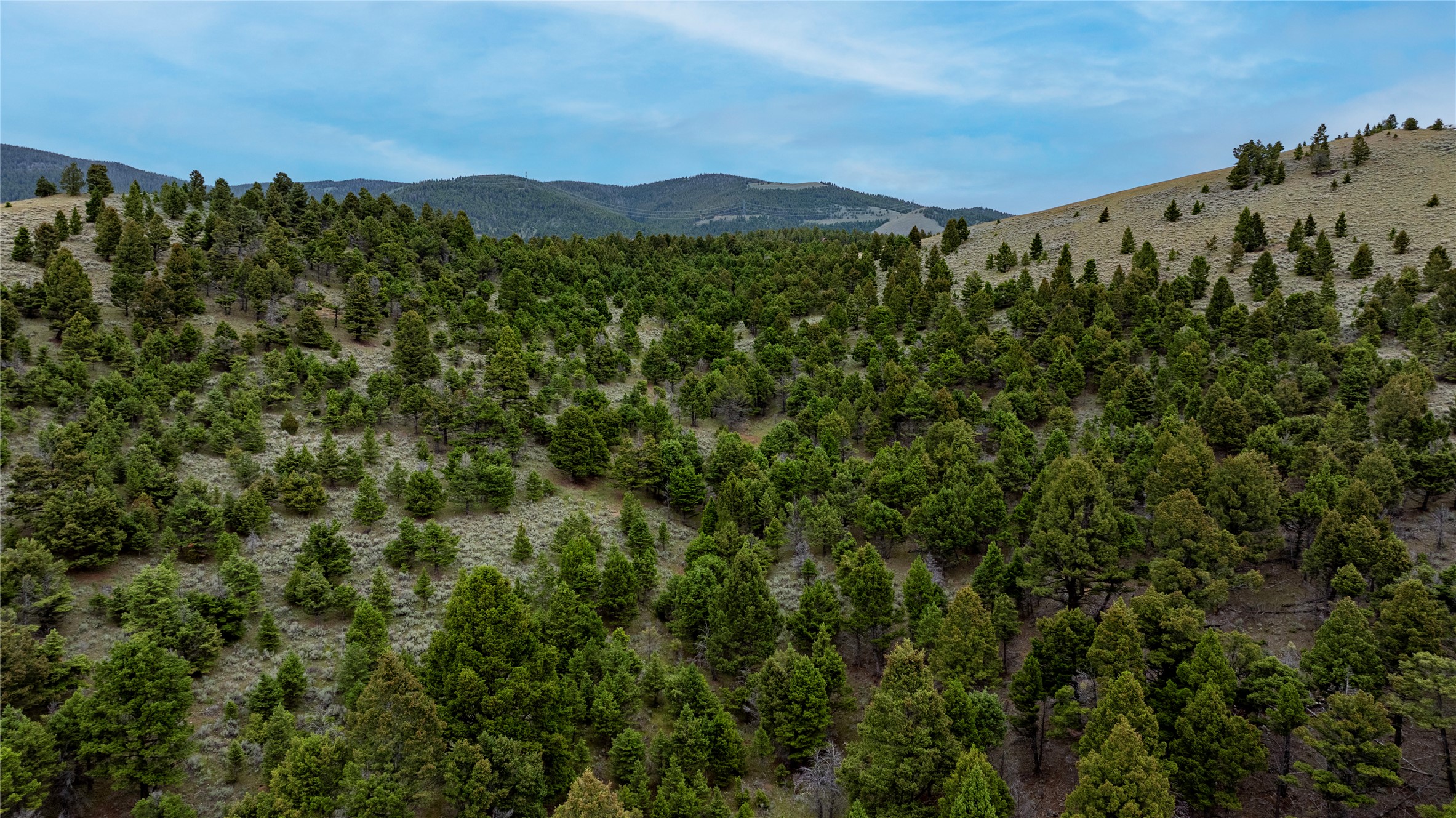 Bald Hill Lode Property Photo 16