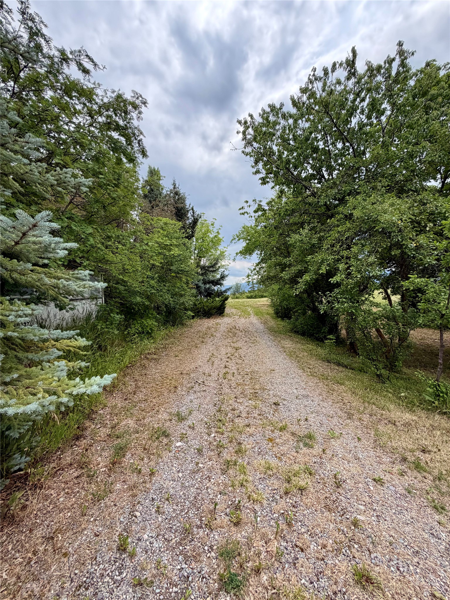 12200 Pulp Mill Road Property Photo 6
