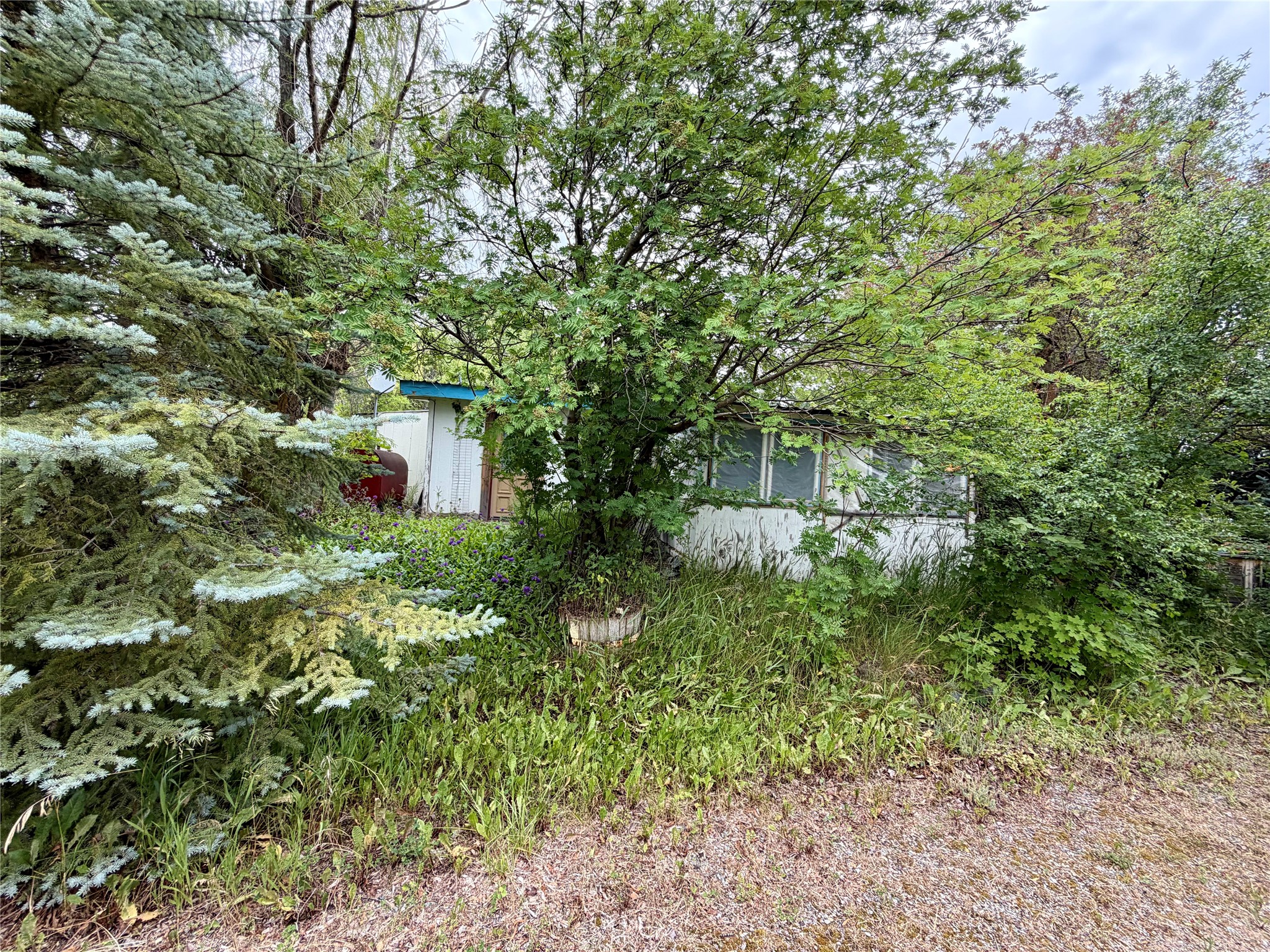 12200 Pulp Mill Road Property Photo 25