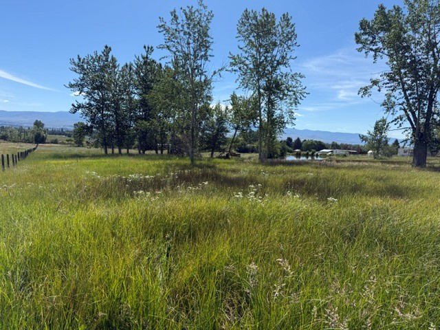 226 Sweathouse Creek Road Property Photo 8