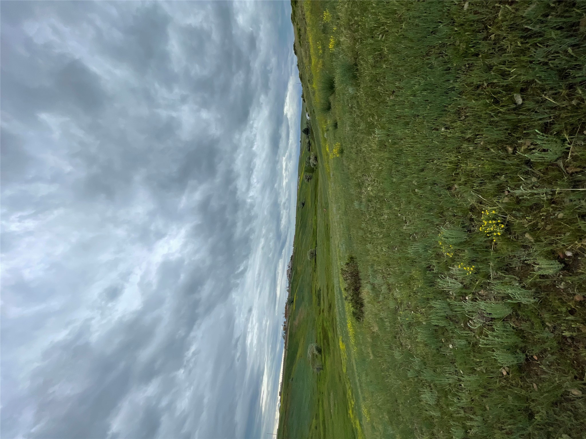 1137 Us Hwy 89 Property Photo 66