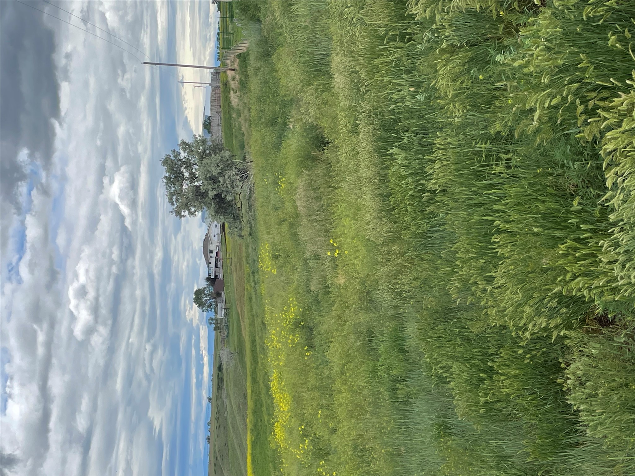 1137 Us Hwy 89 Property Photo 67