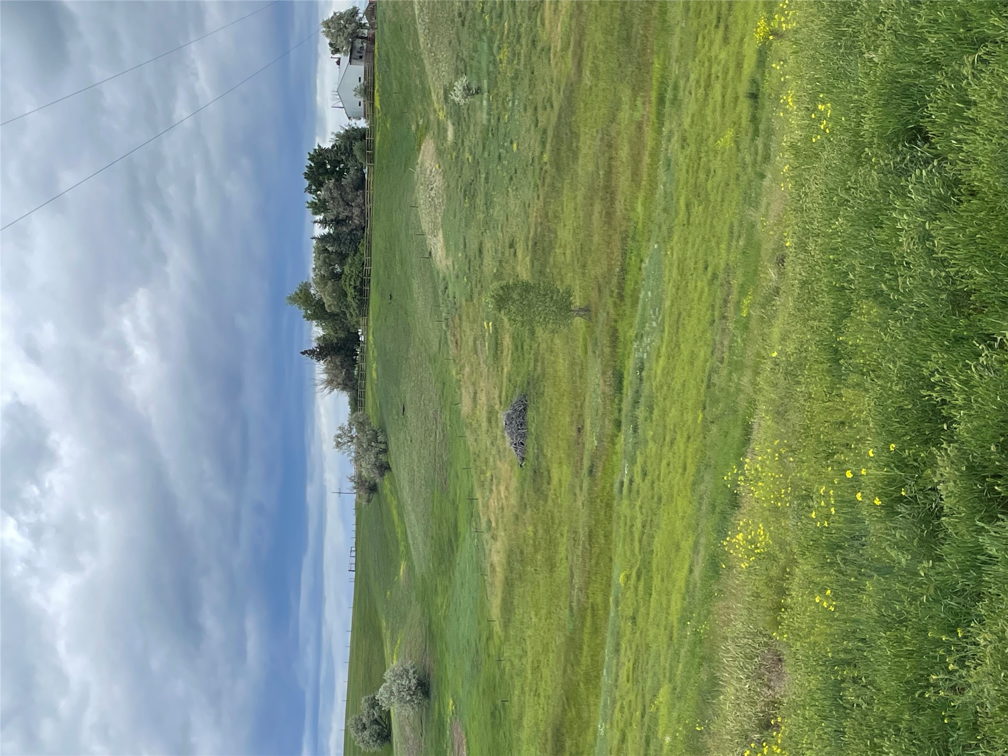 1137 Us Hwy 89 Property Photo 68