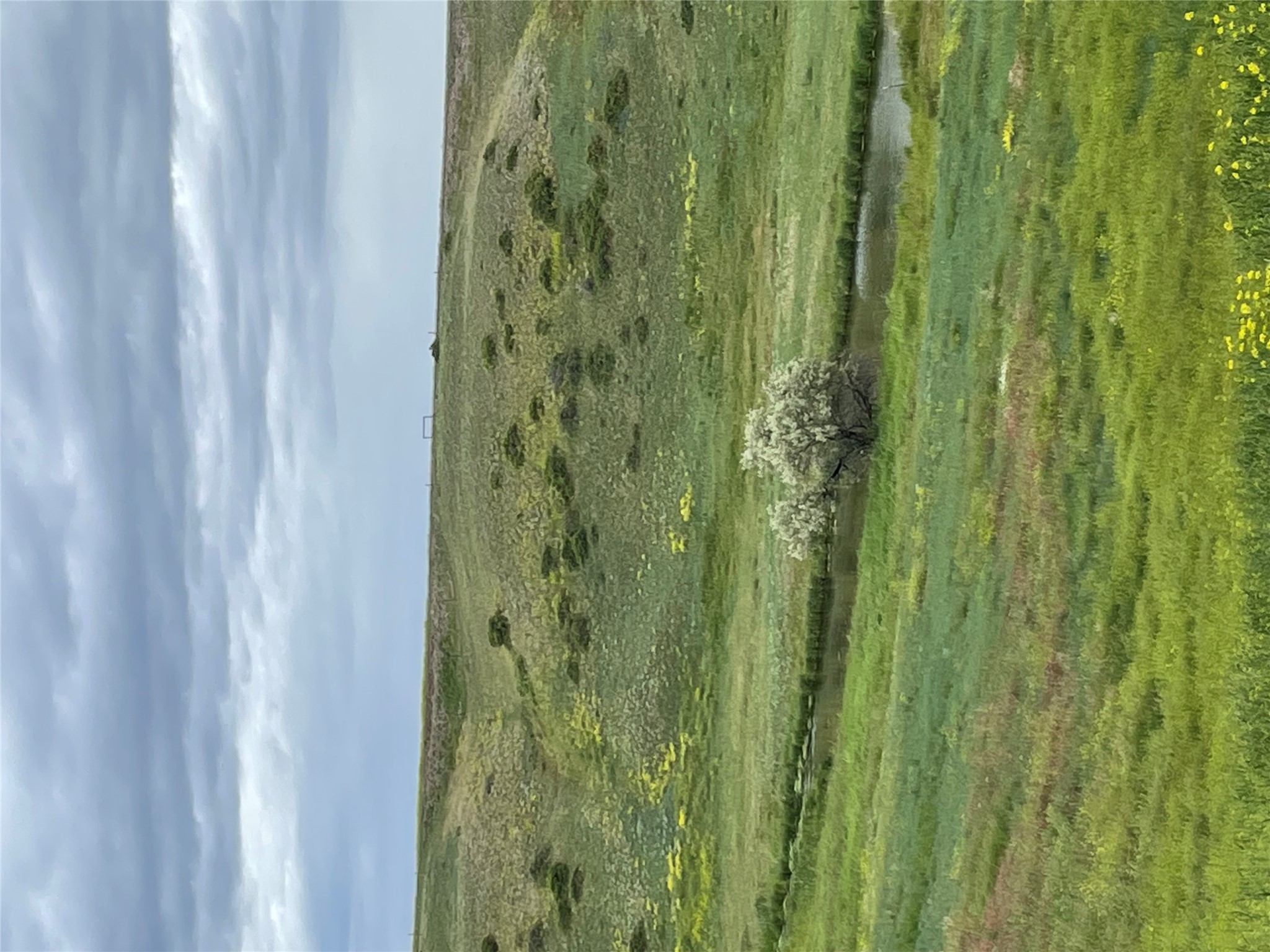 1137 Us Hwy 89 Property Photo 77