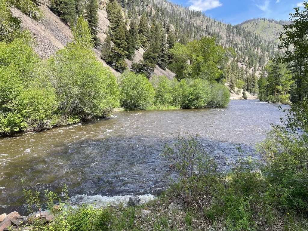 30 Williams Gulch Loop Property Photo 62