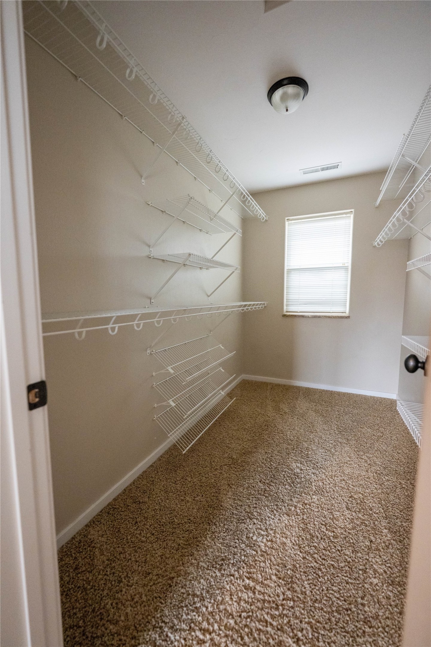 534 Dreben Way Property Photo 9