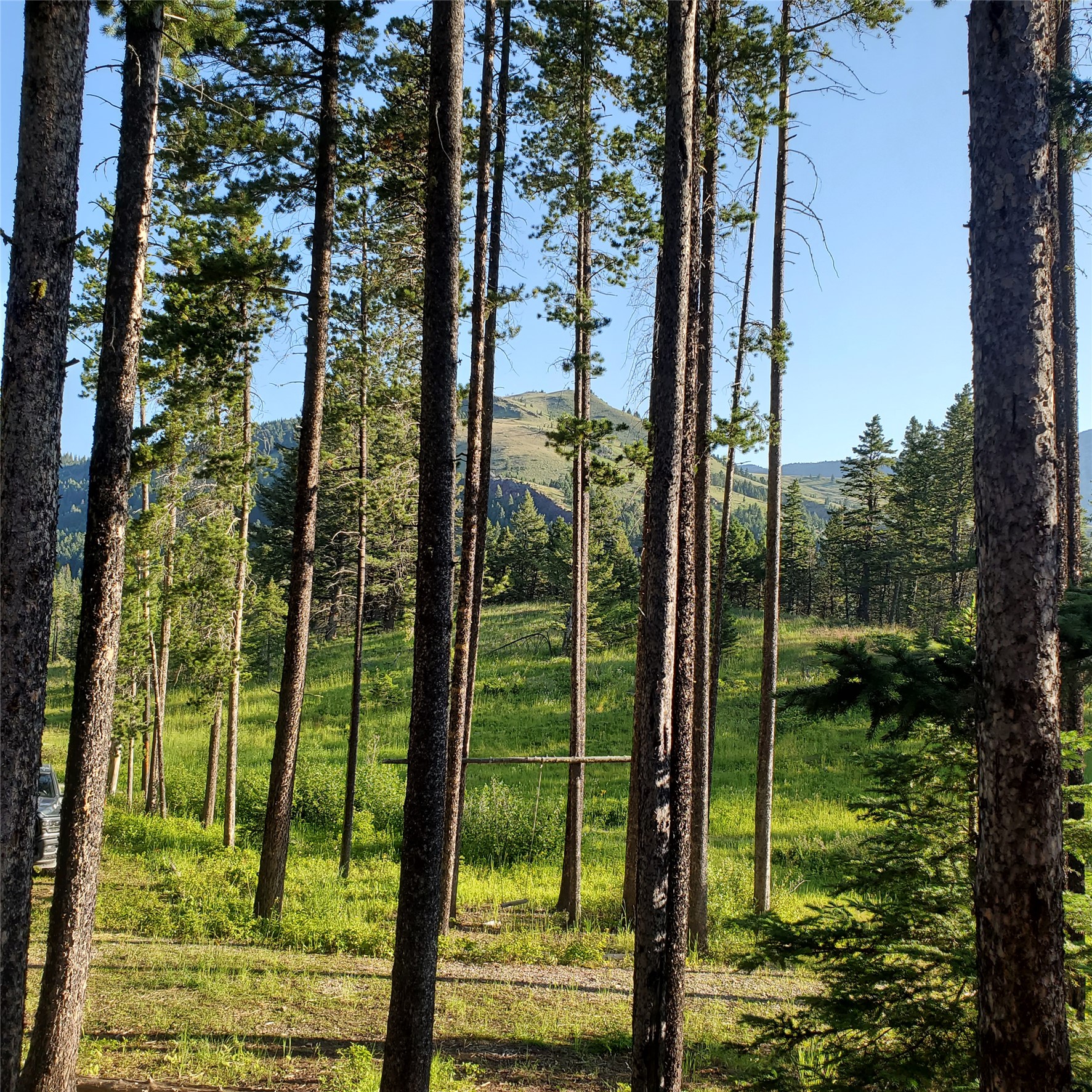 16221 Grizzly Lane Property Photo 13