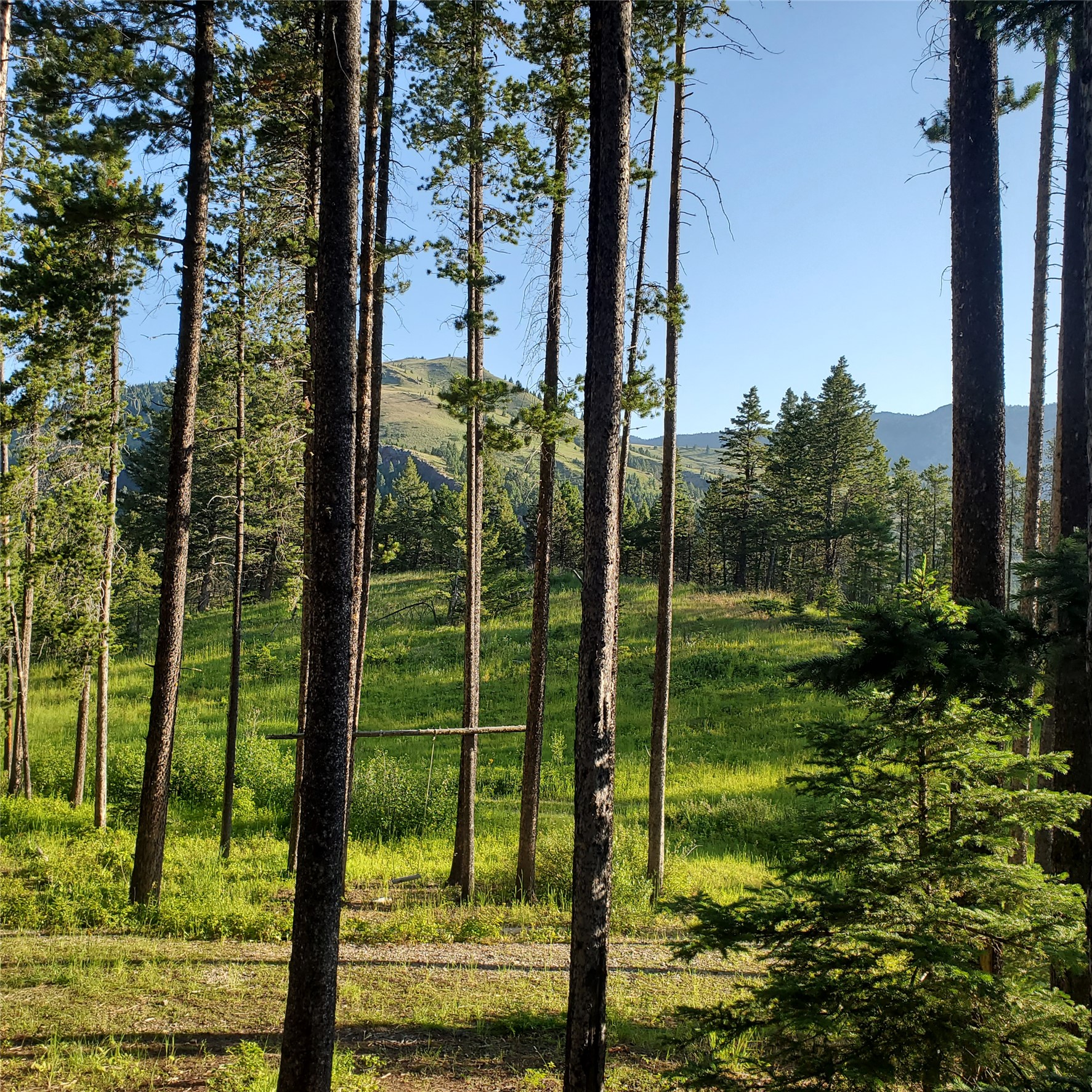 16221 Grizzly Lane Property Photo 14