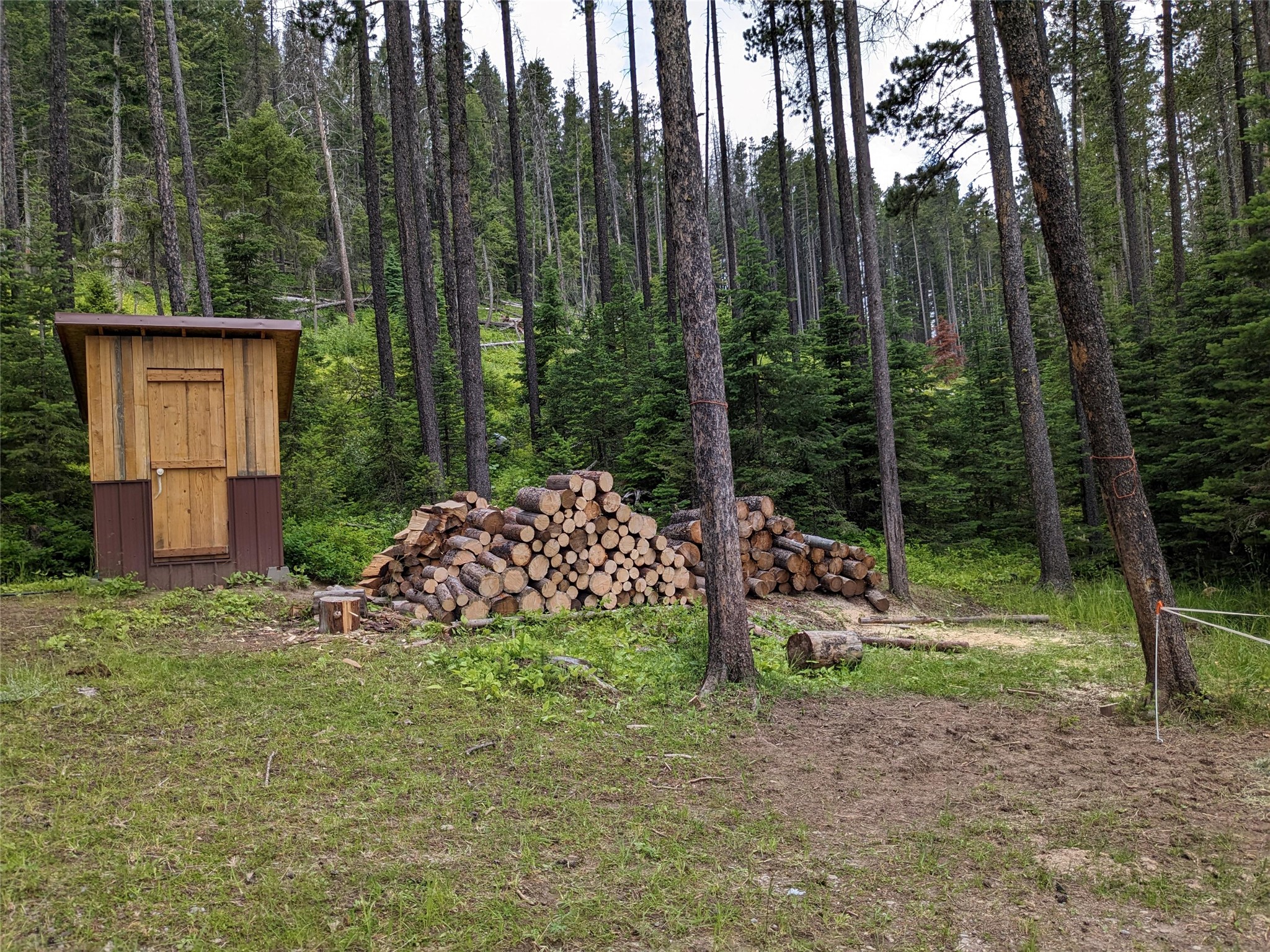 16221 Grizzly Lane Property Photo 19