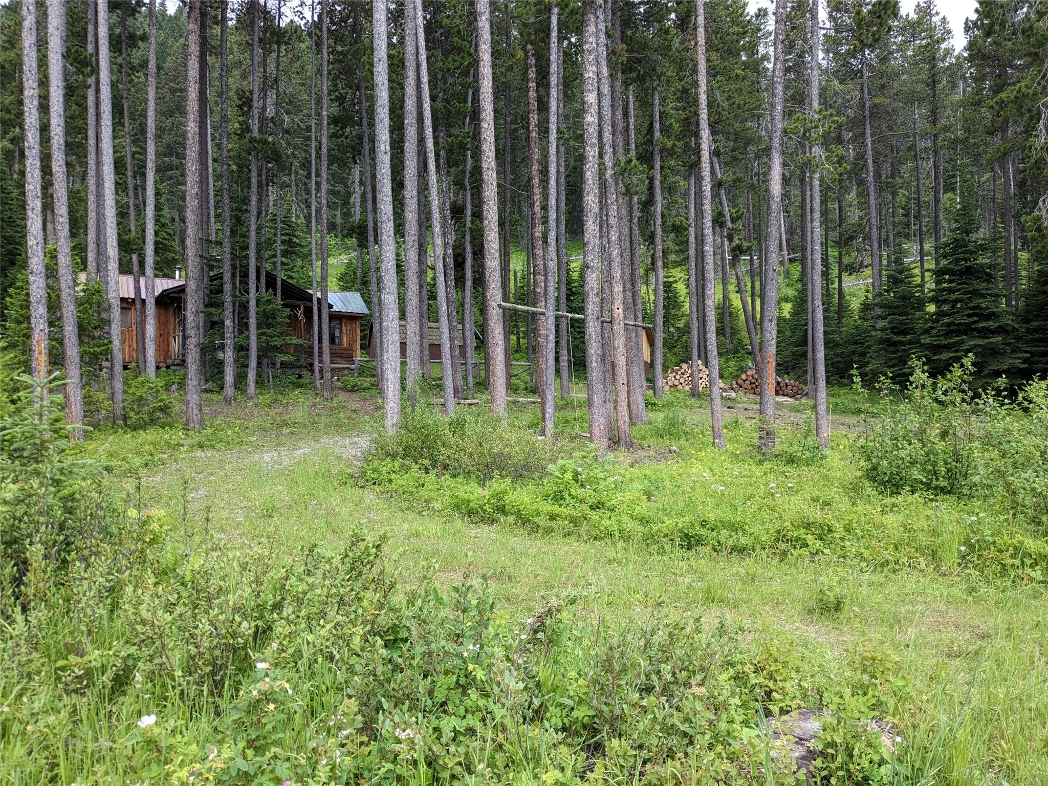 16221 Grizzly Lane Property Photo 38