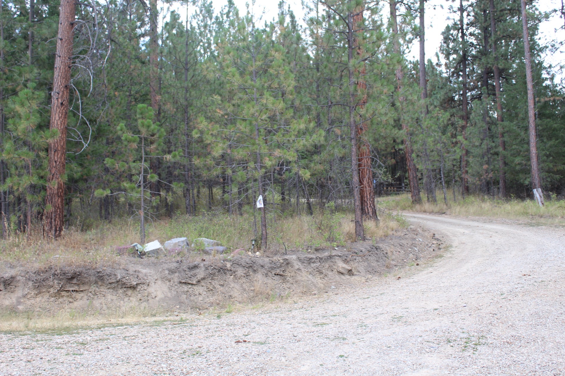 80 Old Hot Springs Road Property Photo 57