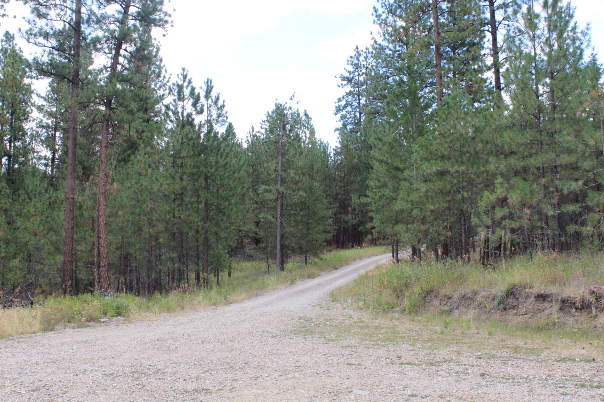 80 Old Hot Springs Road Property Photo 58