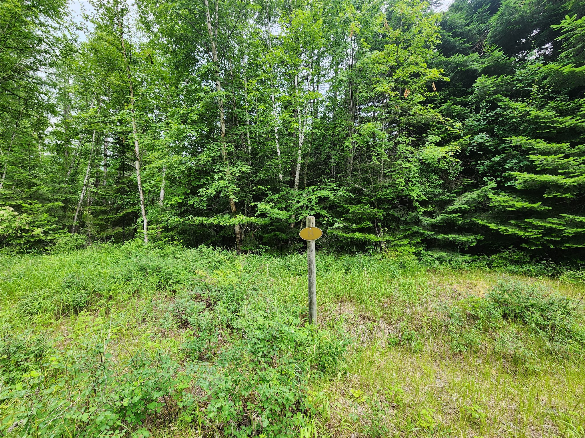 13727 Big Hawk Drive Property Photo 3
