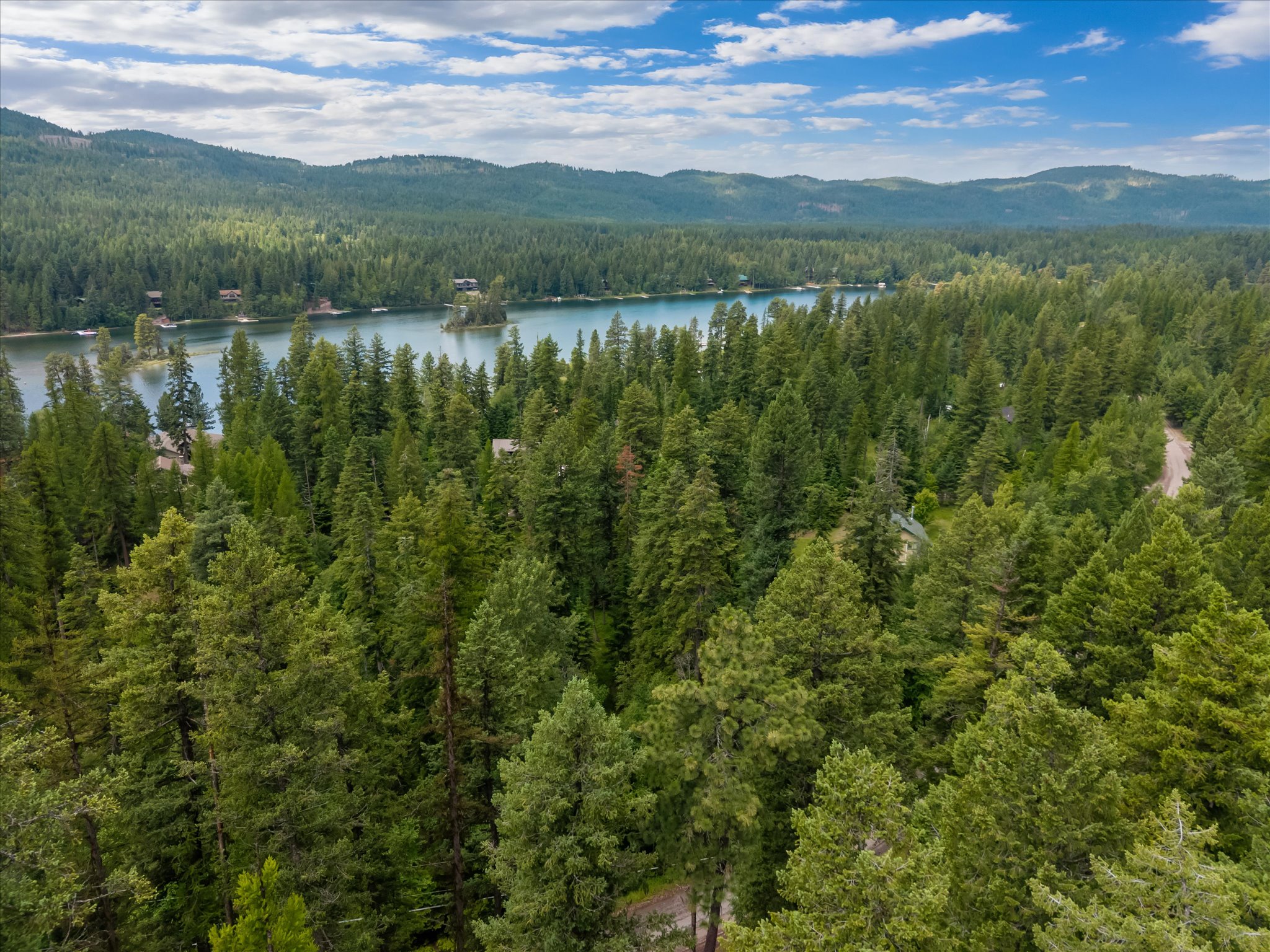 13727 Big Hawk Drive Property Photo 18