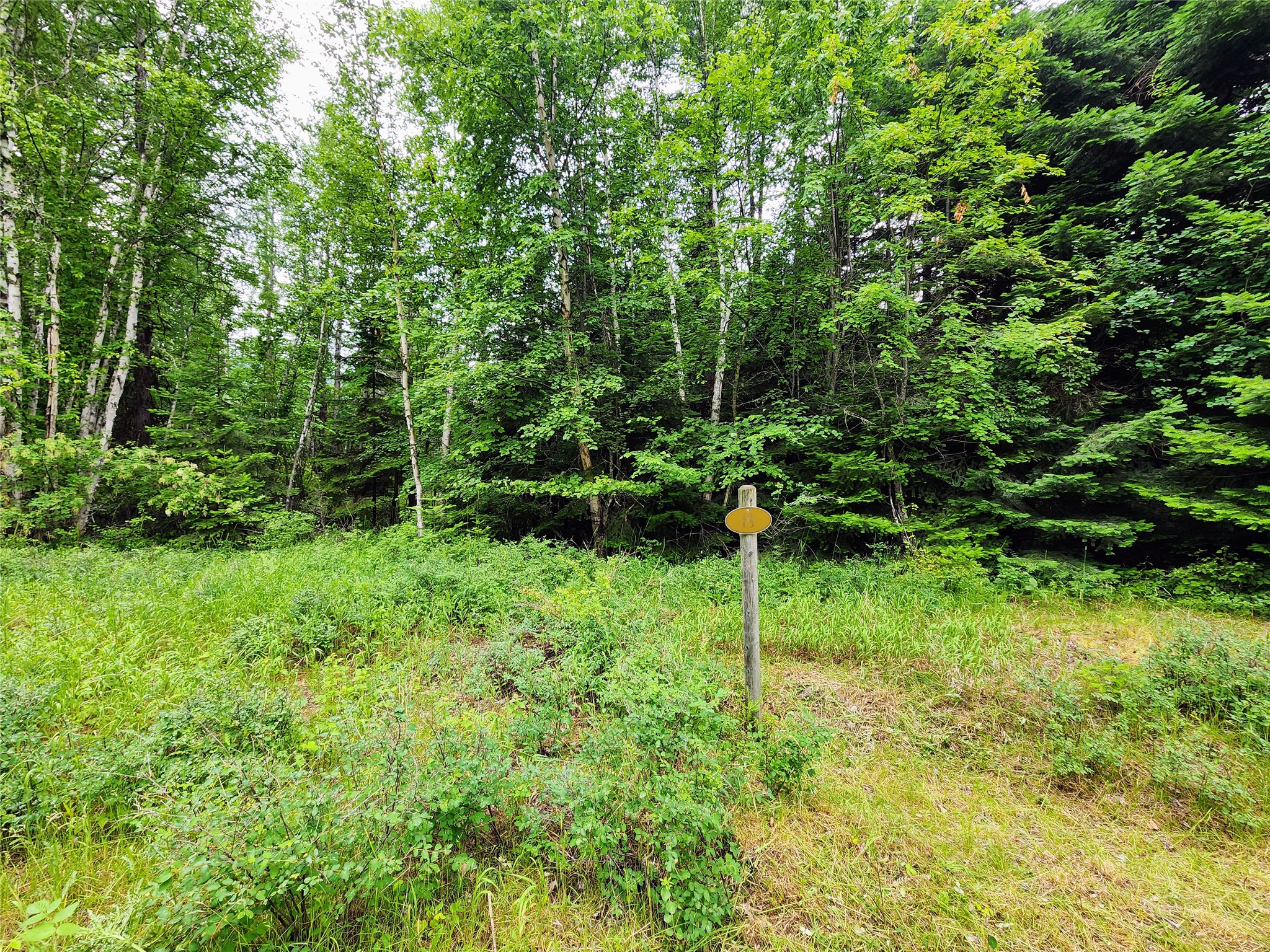 13727 Big Hawk Drive Property Photo 22