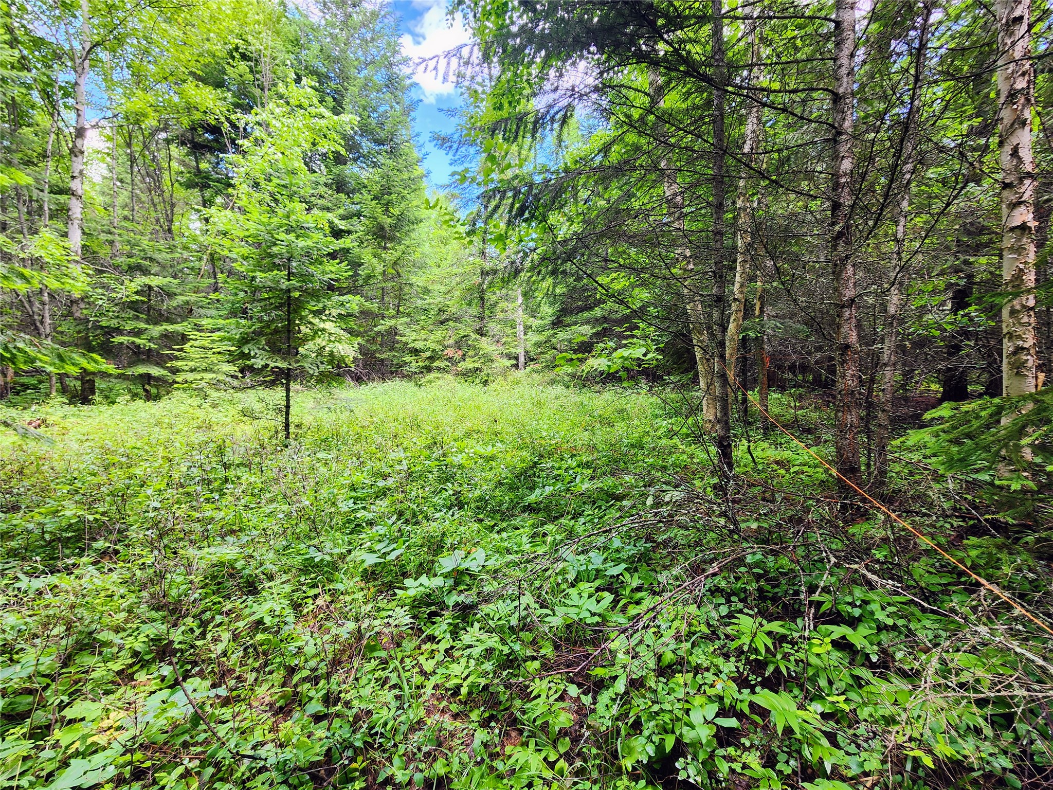 13727 Big Hawk Drive Property Photo 30