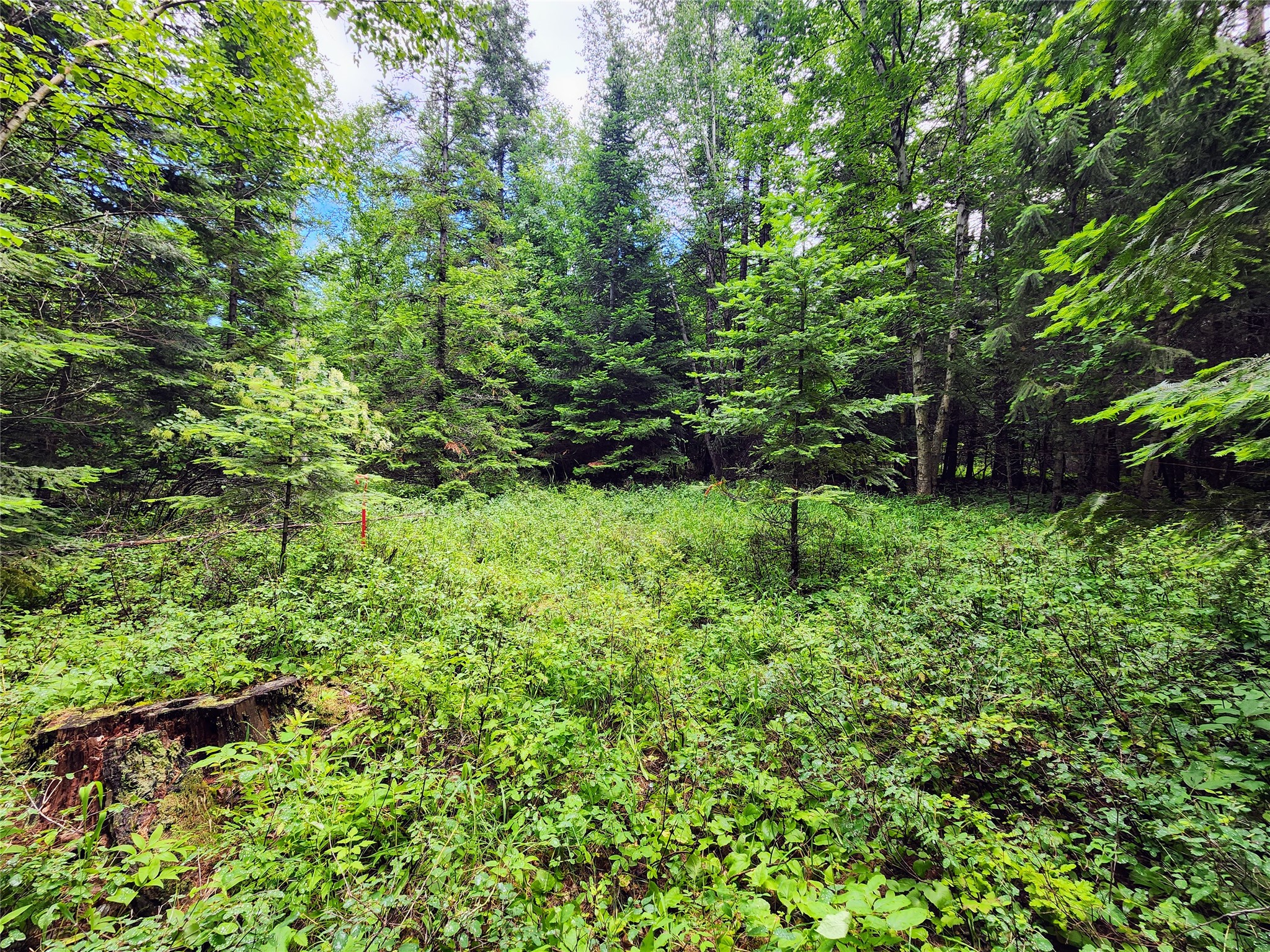 13727 Big Hawk Drive Property Photo 31