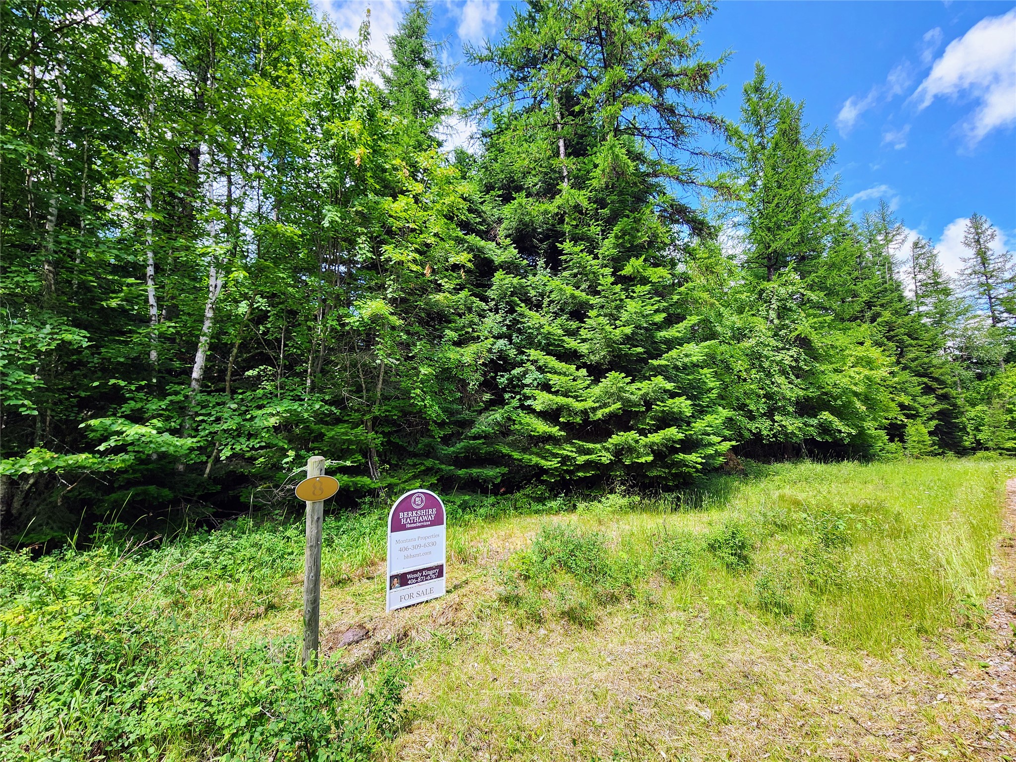 13727 Big Hawk Drive Property Photo 35