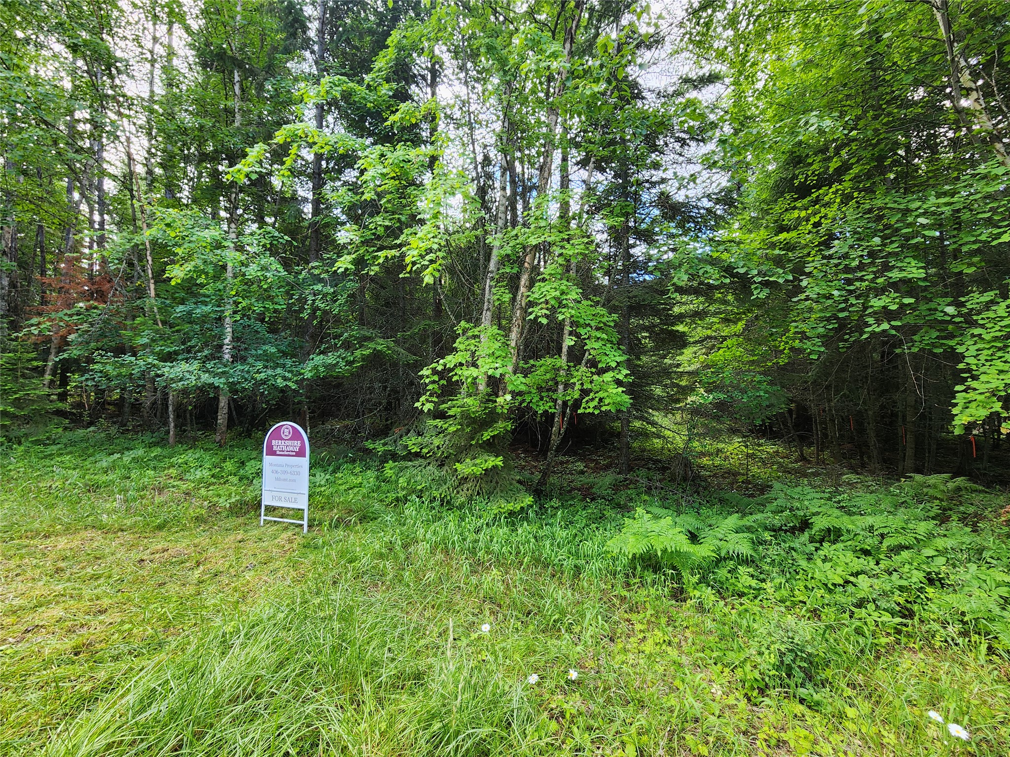 13727 Big Hawk Drive Property Photo 36