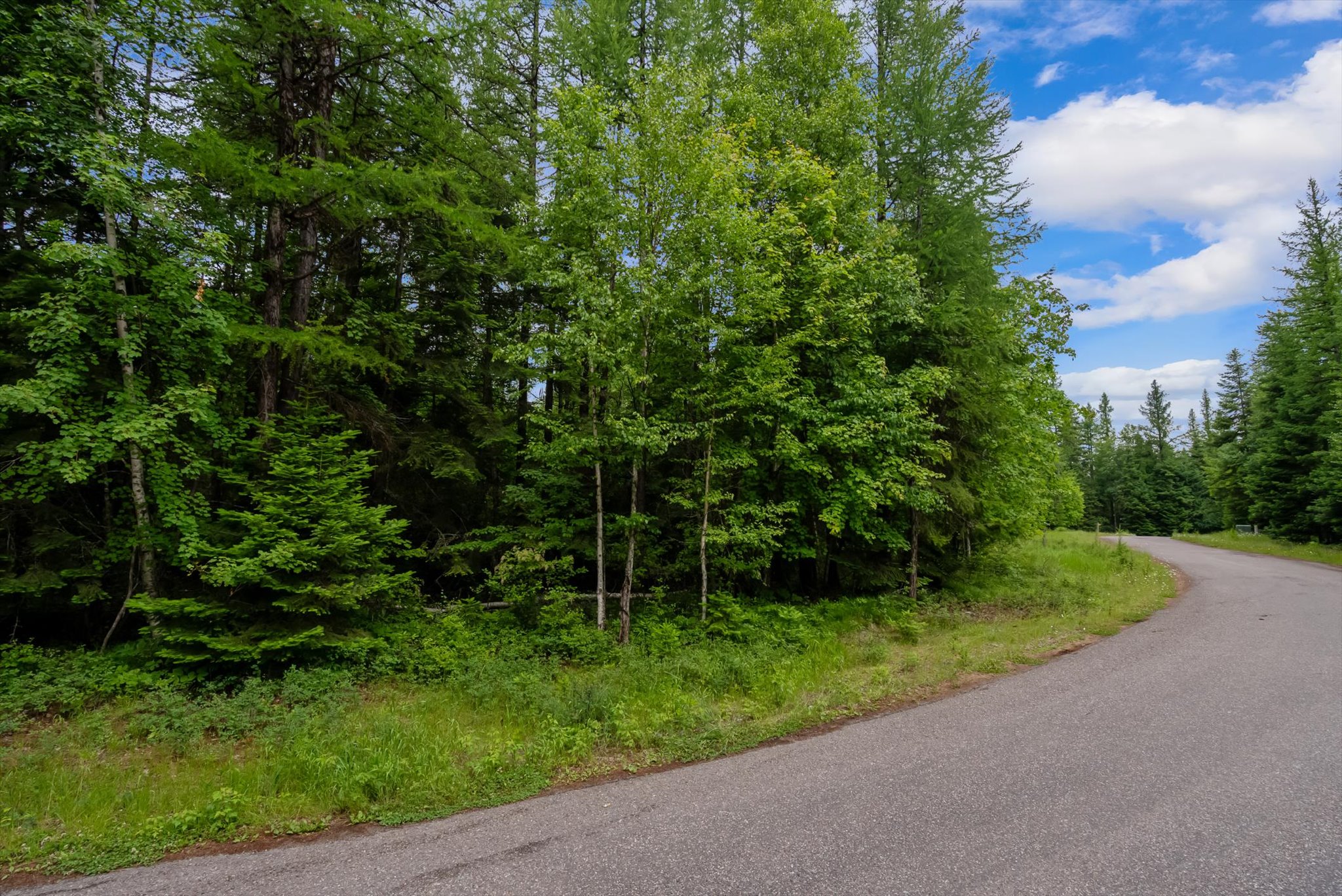 13727 Big Hawk Drive Property Photo 37