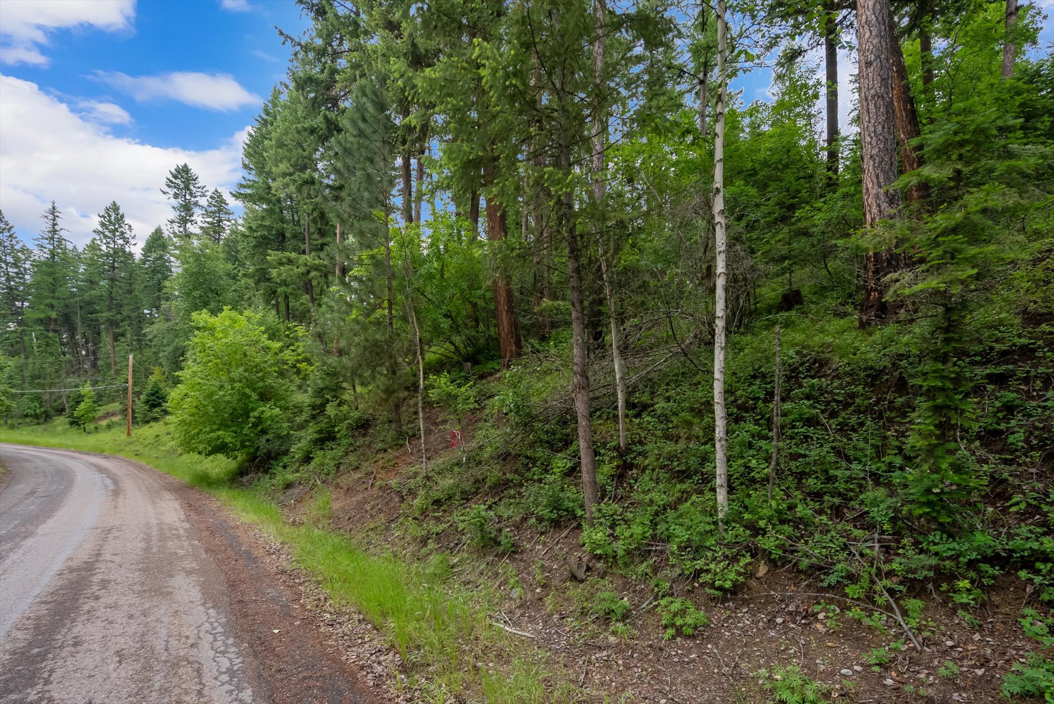 13727 Big Hawk Drive Property Photo 38