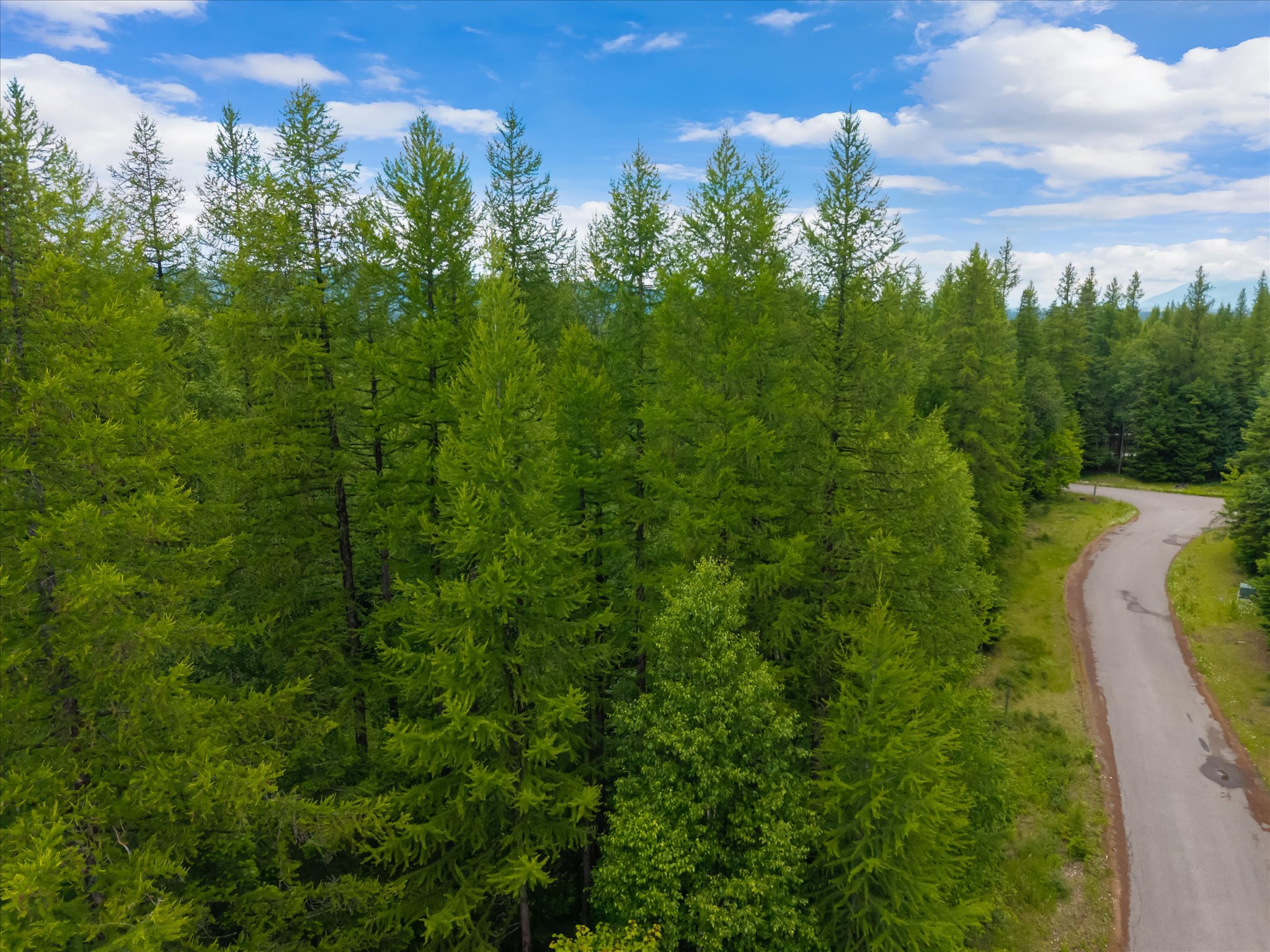 13727 Big Hawk Drive Property Photo 40