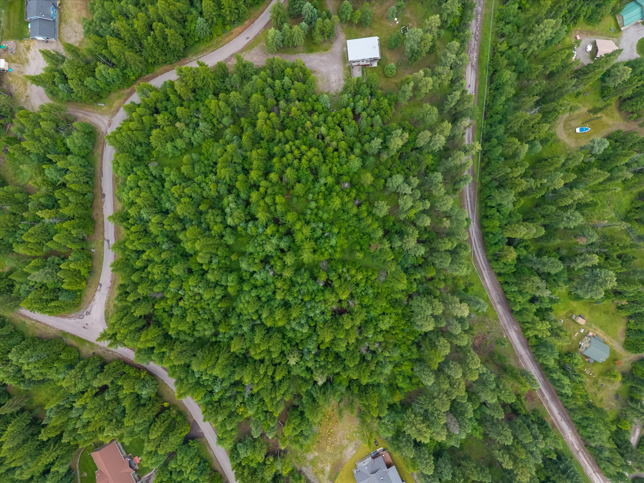 13727 Big Hawk Drive Property Photo 42
