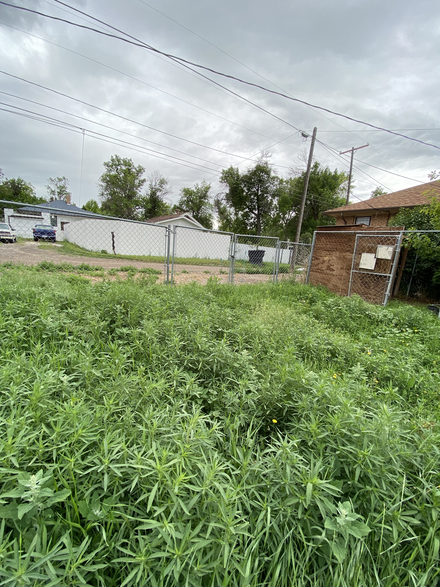 2904 2nd Avenue N Property Photo 37