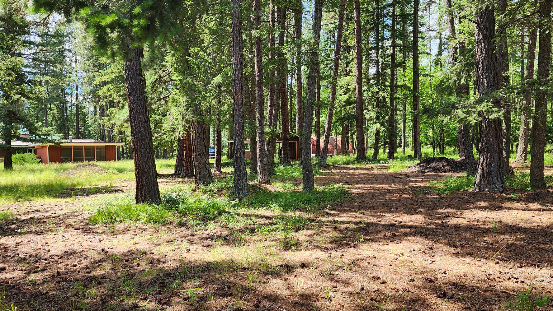 12430 Rippling Waters Road Property Photo 5