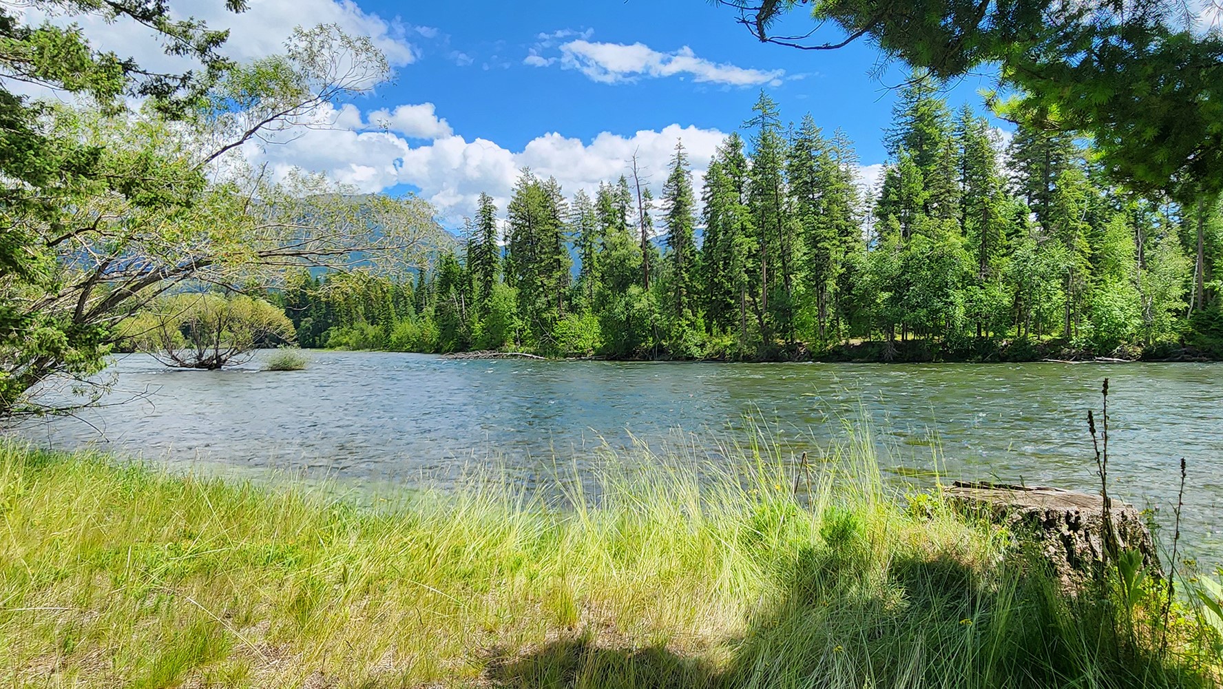 12430 Rippling Waters Road Property Photo 20