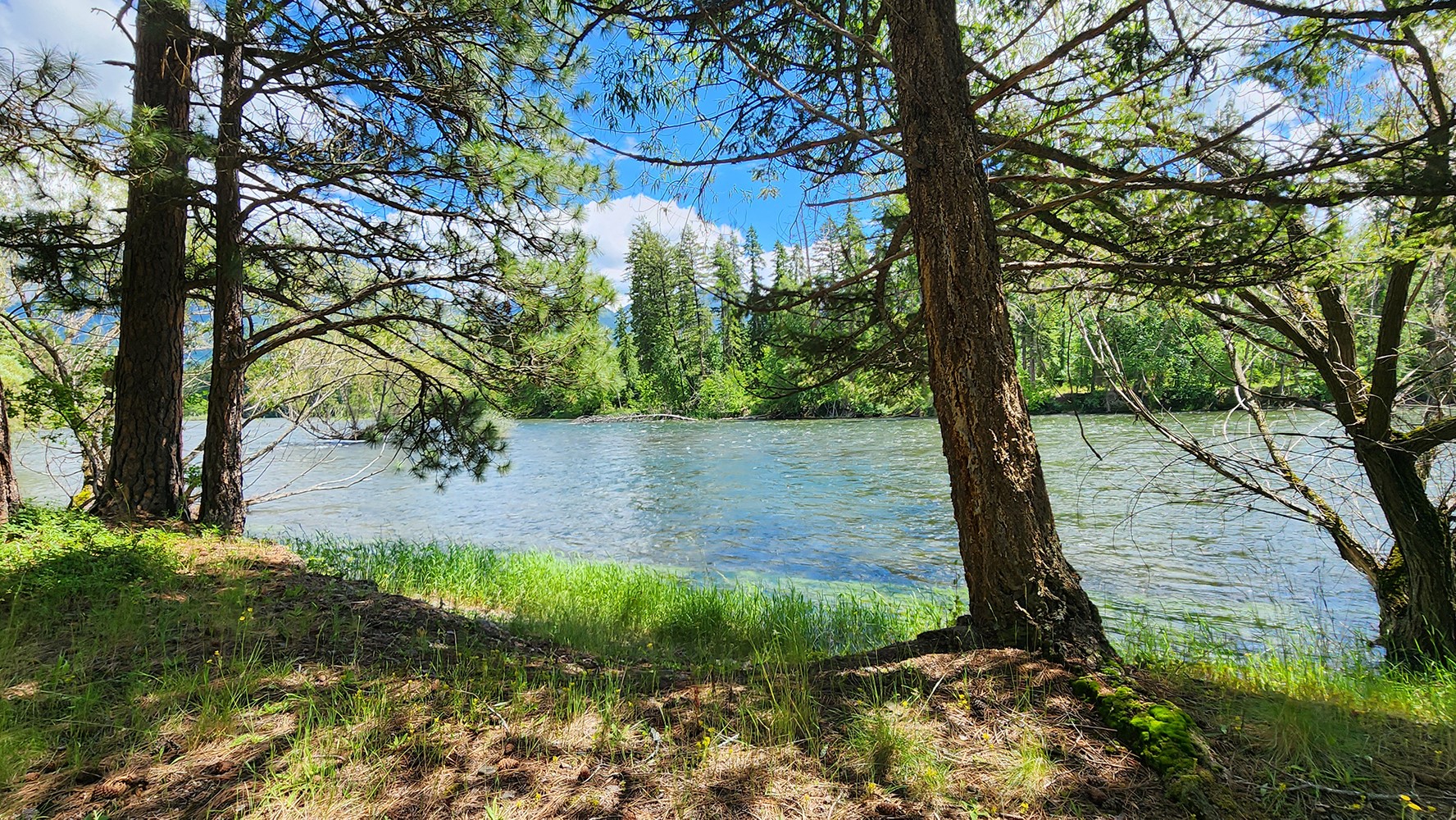 12430 Rippling Waters Road Property Photo 21