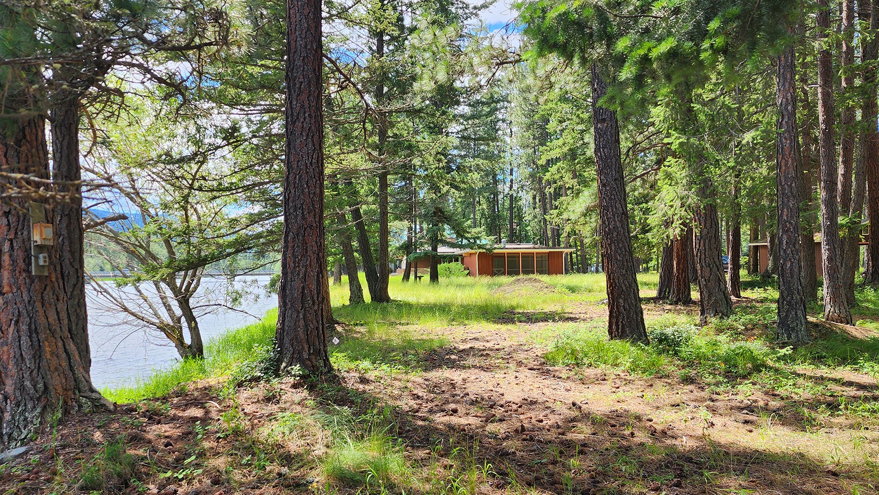 12430 Rippling Waters Road Property Photo 23