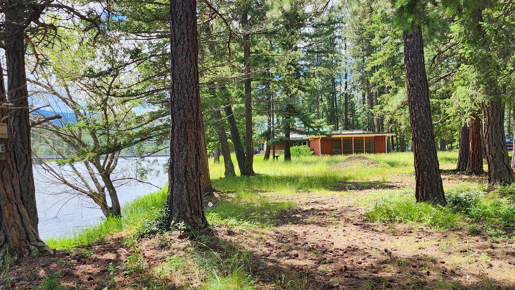 12430 Rippling Waters Road Property Photo 24