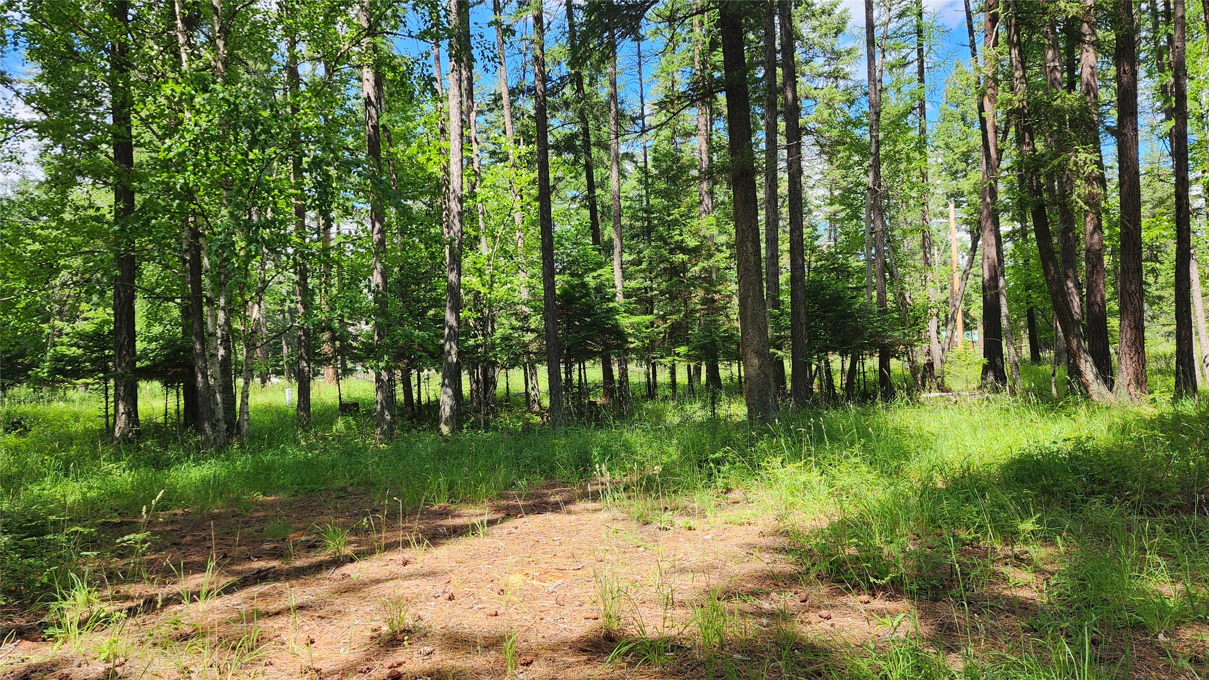 12430 Rippling Waters Road Property Photo 26