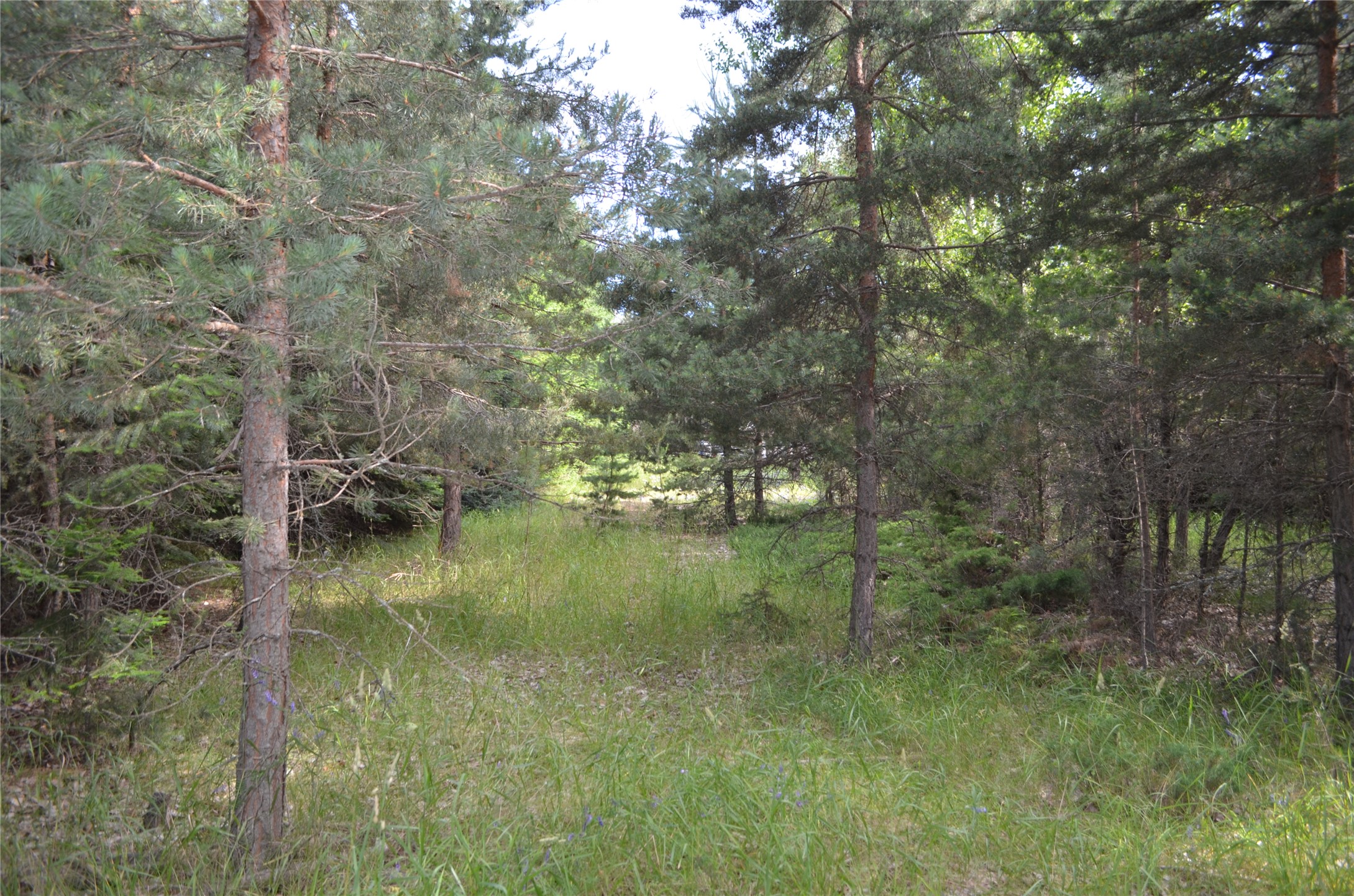 73 Sweet Lane Property Photo 11