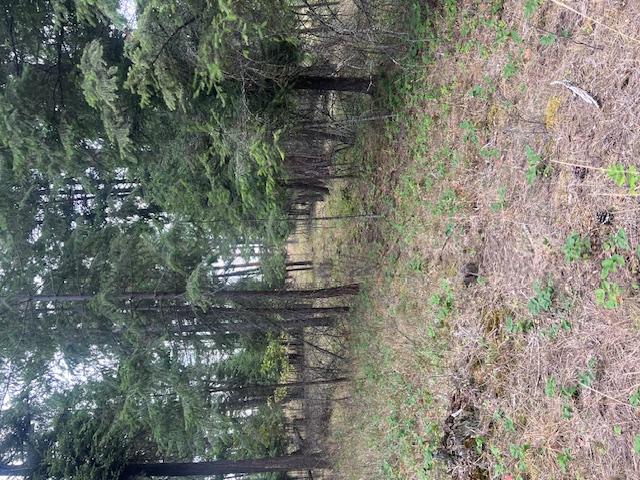 300 Lynx Drive Property Photo 8