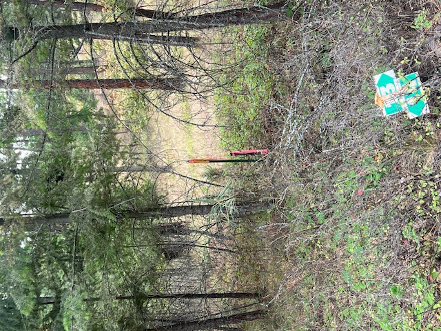 300 Lynx Drive Property Photo 10