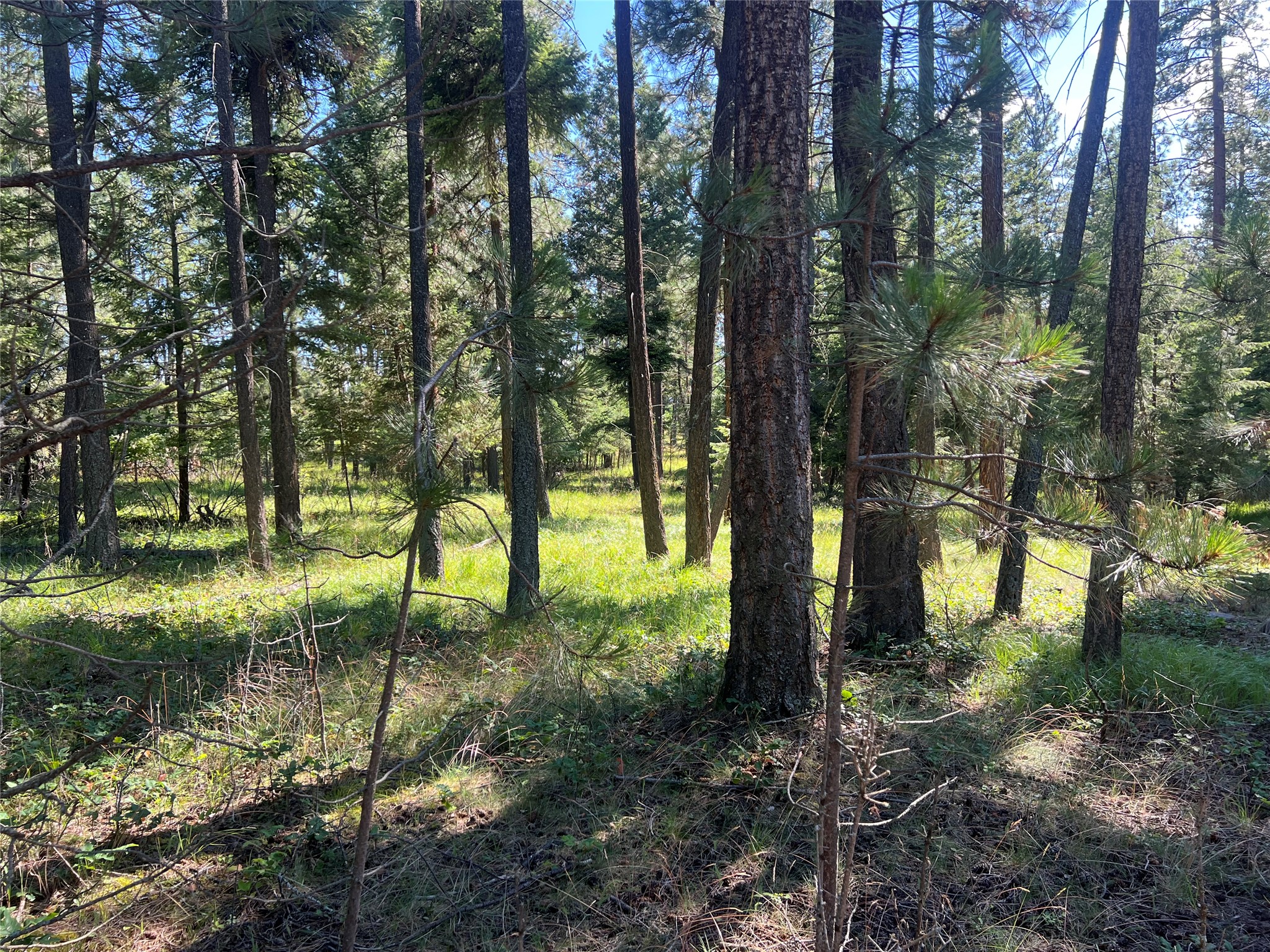 300 Lynx Drive Property Photo 15