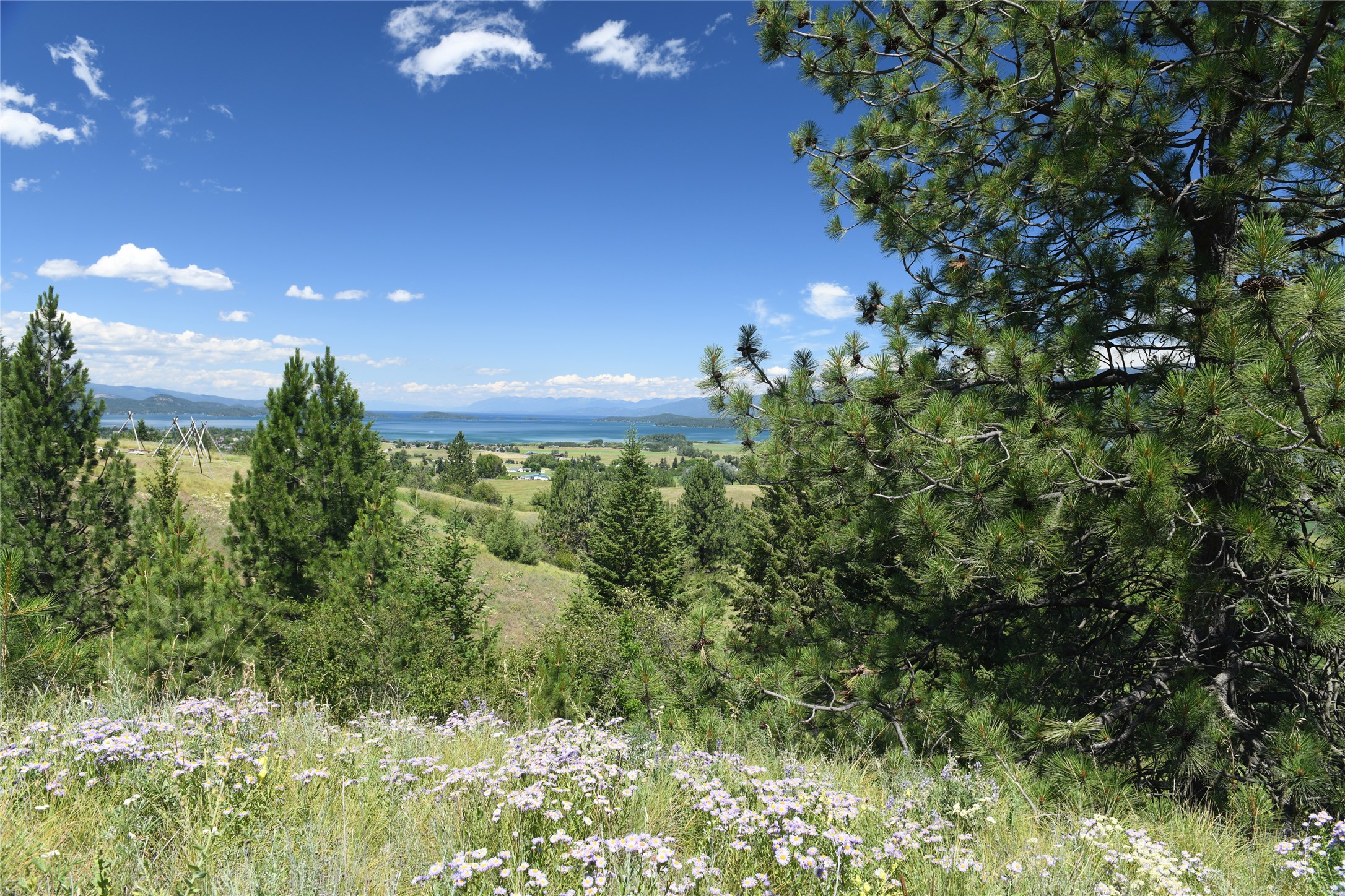37024 Schafer Road Property Photo 2
