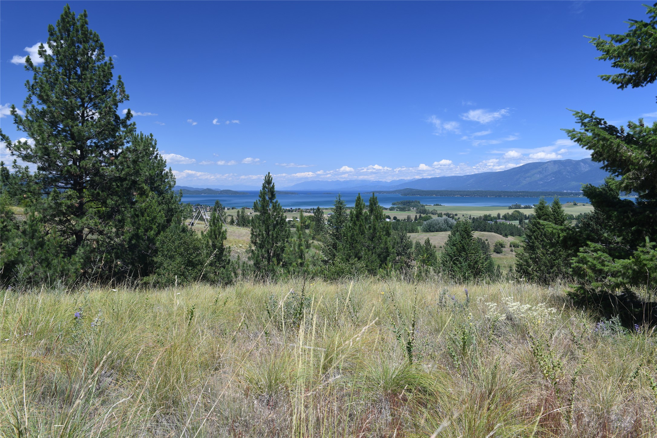 37024 Schafer Road Property Photo 7