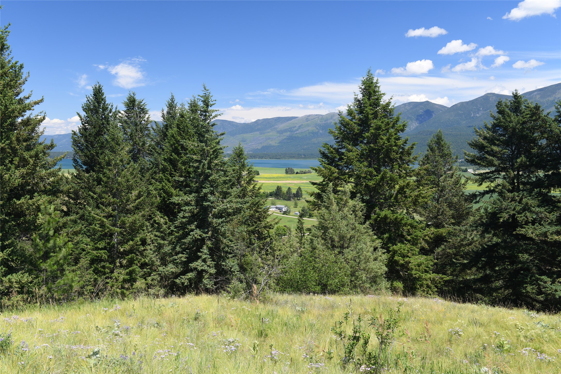 37024 Schafer Road Property Photo 11