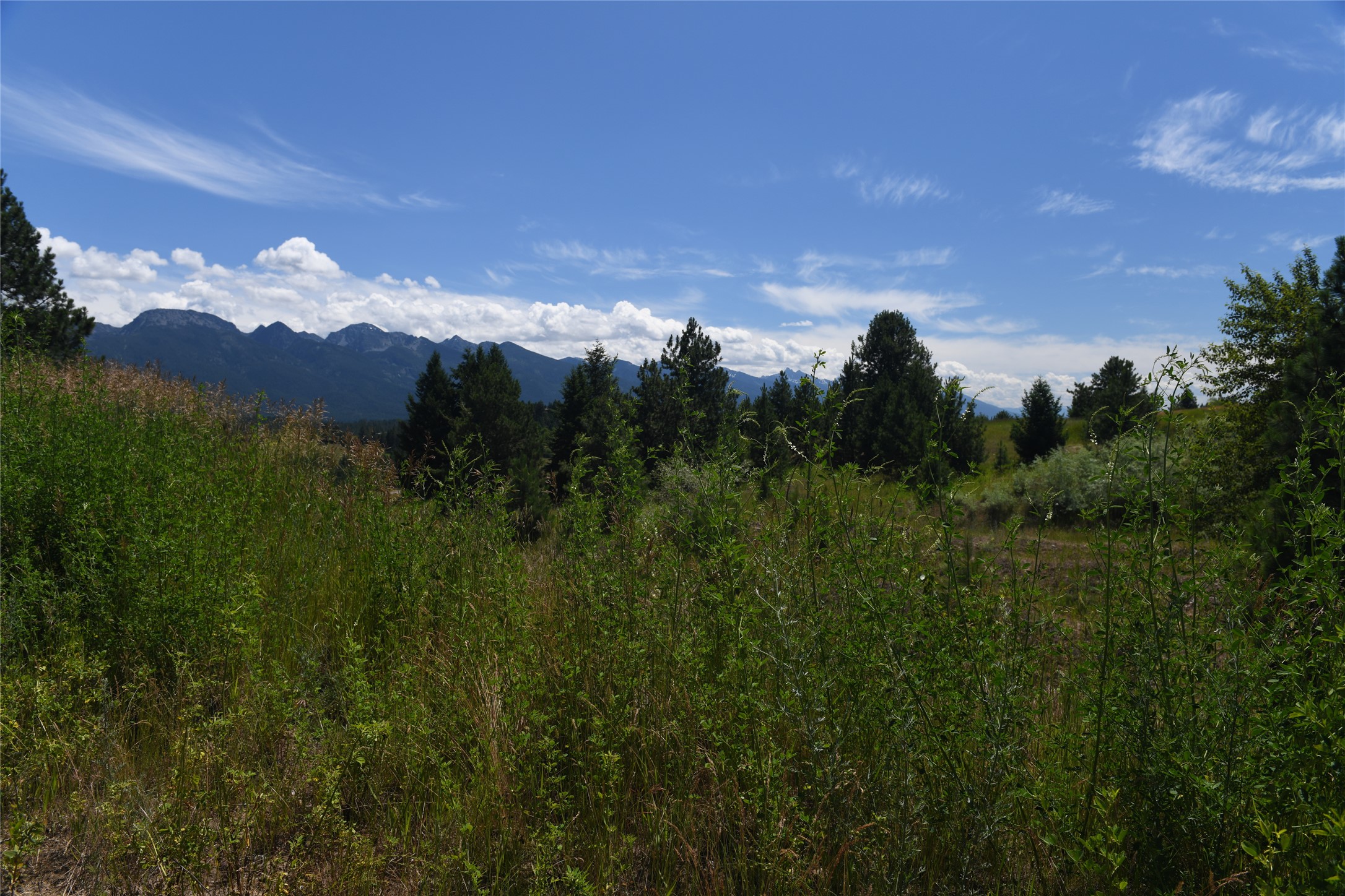 37024 Schafer Road Property Photo 13