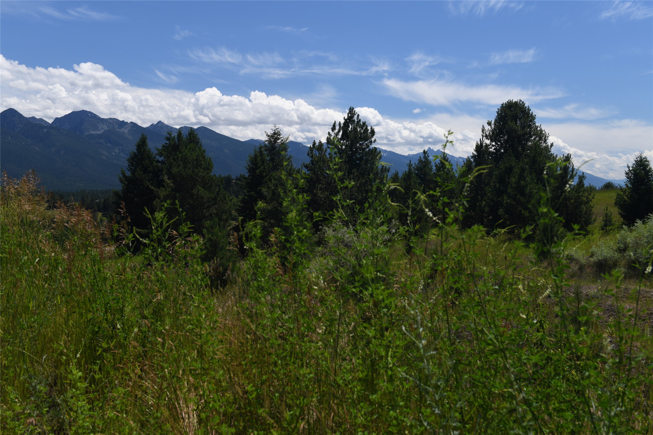 37024 Schafer Road Property Photo 14