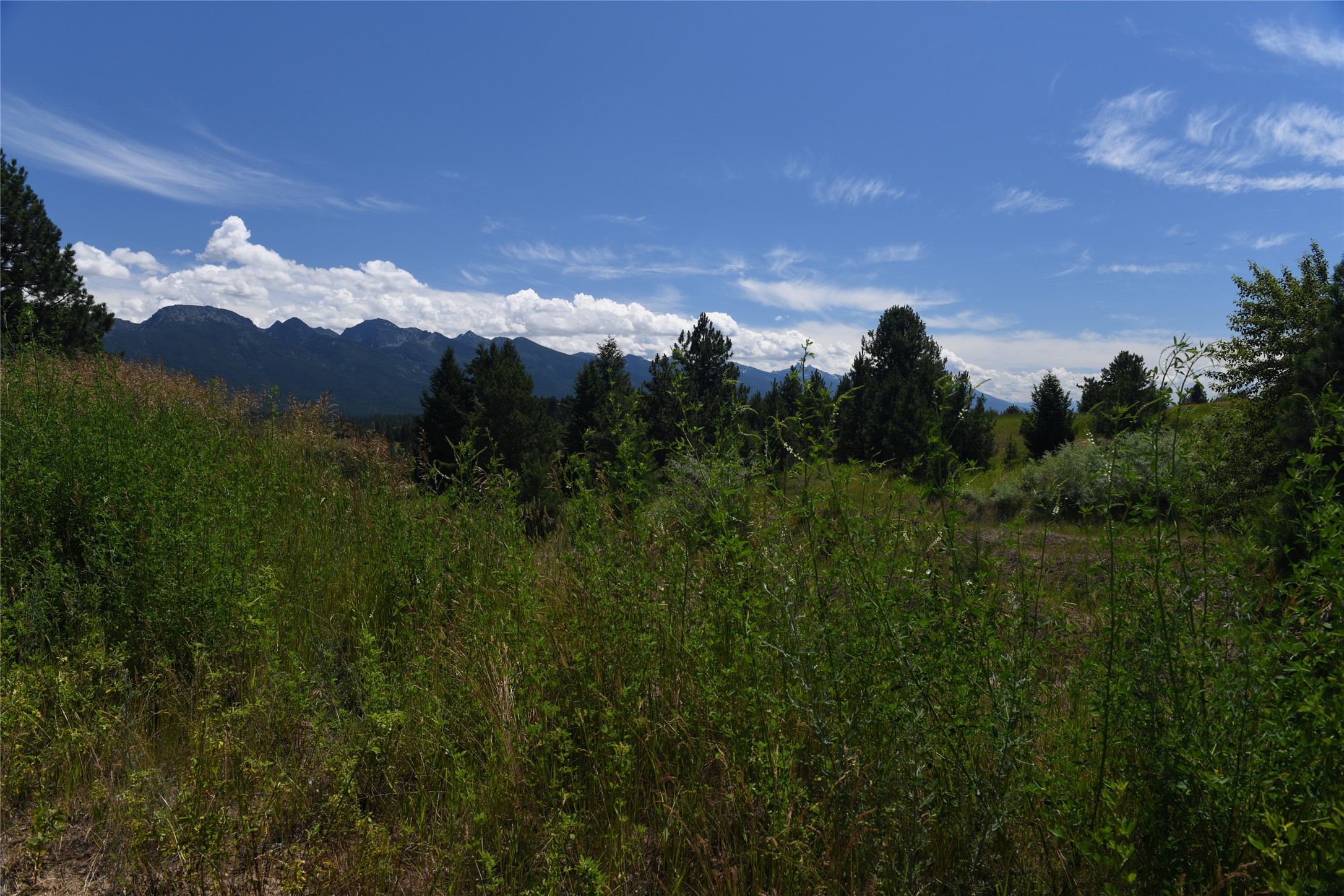 37024 Schafer Road Property Photo 16