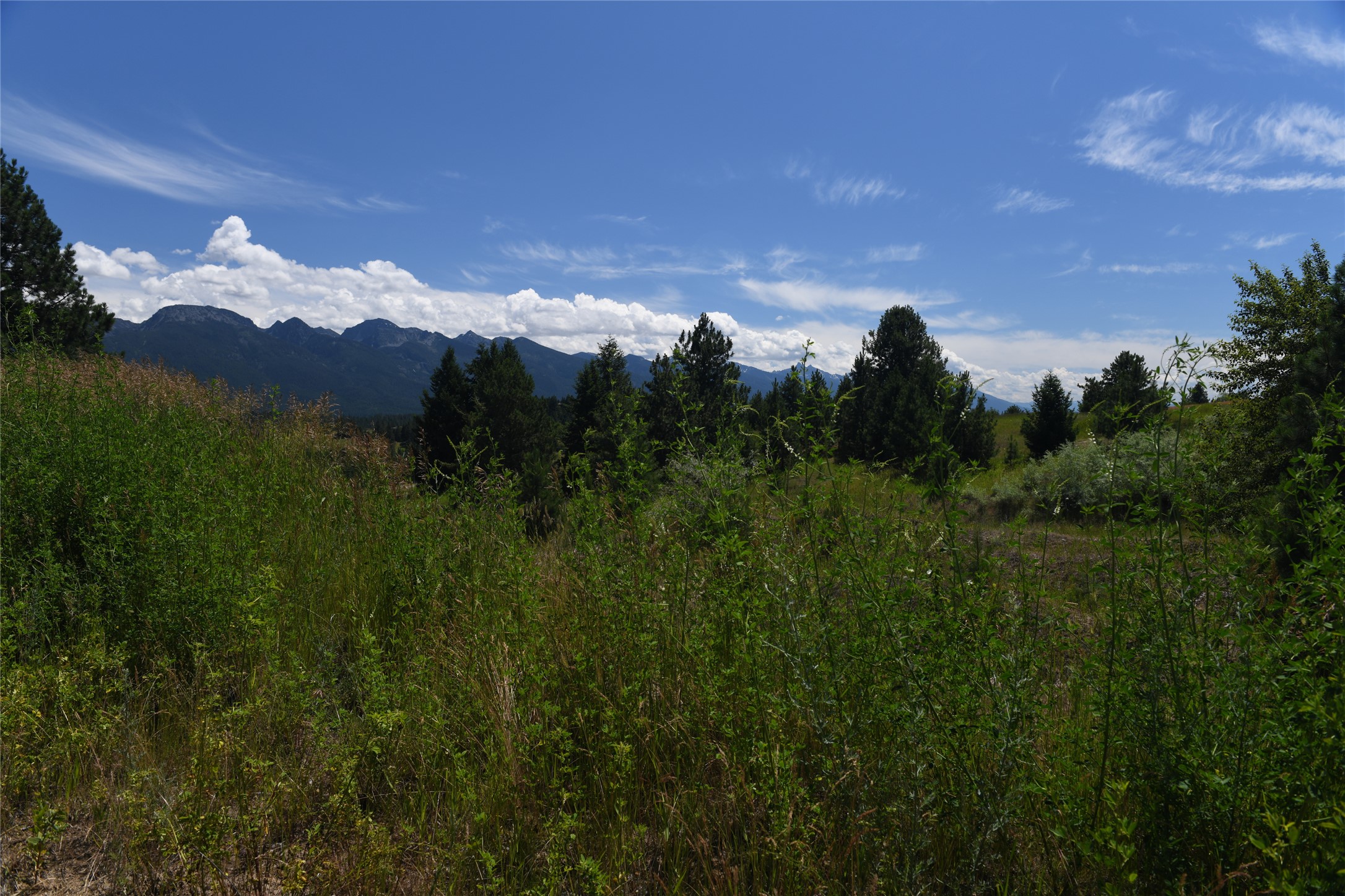 37024 Schafer Road Property Photo 17