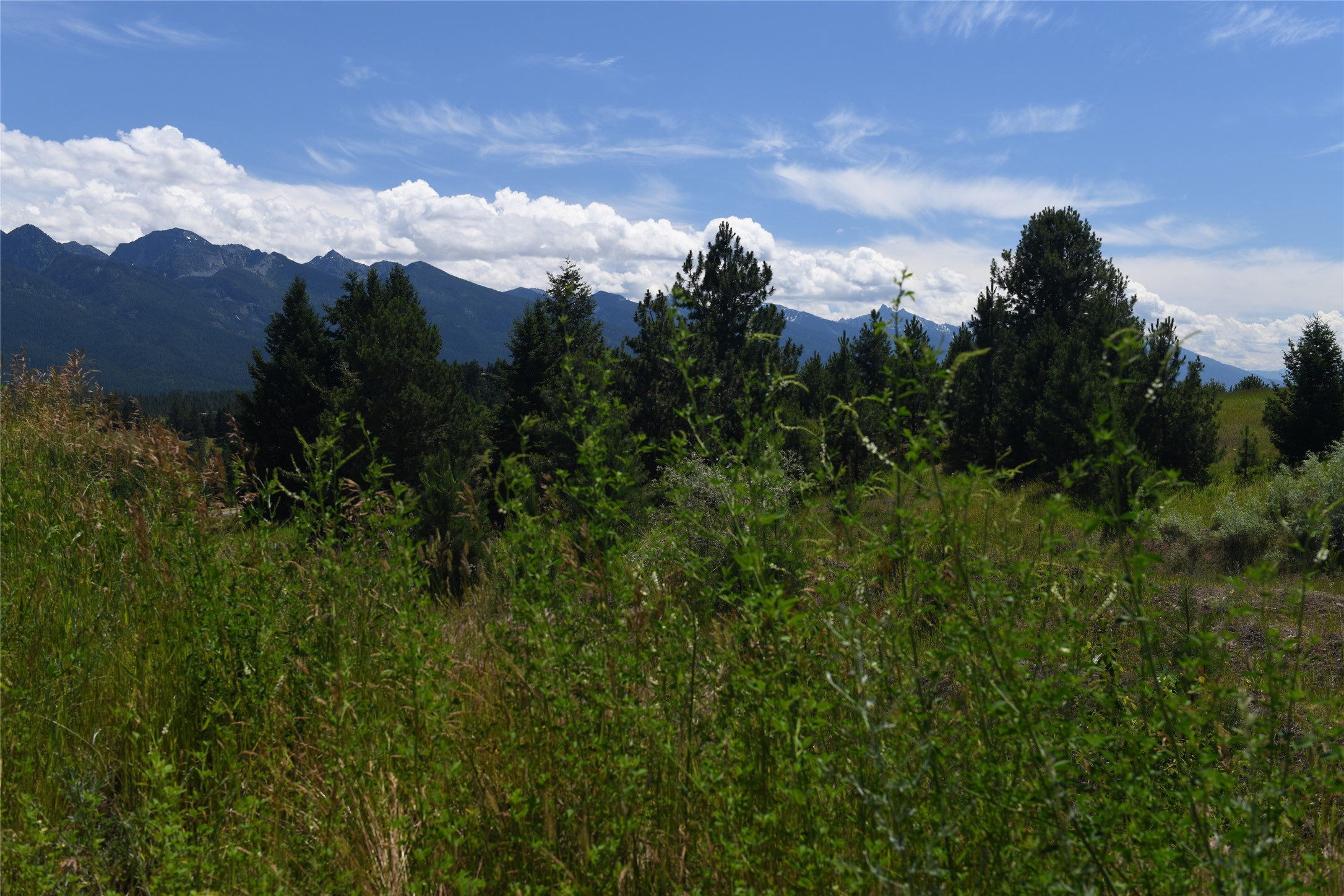 37024 Schafer Road Property Photo 18