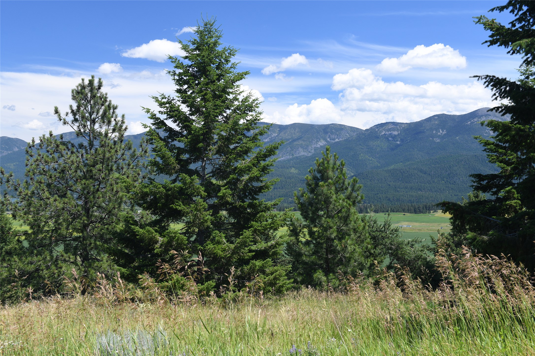 37024 Schafer Road Property Photo 19