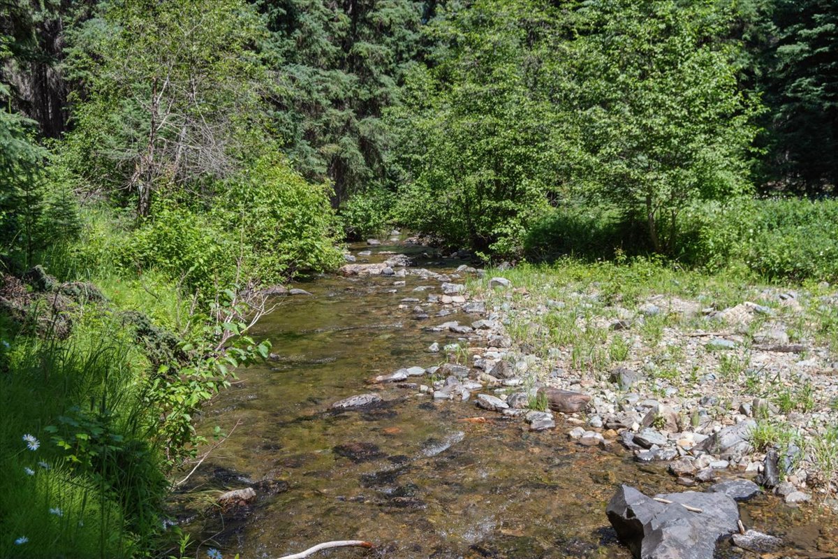 11710 Pinkham Creek Road Property Photo 46